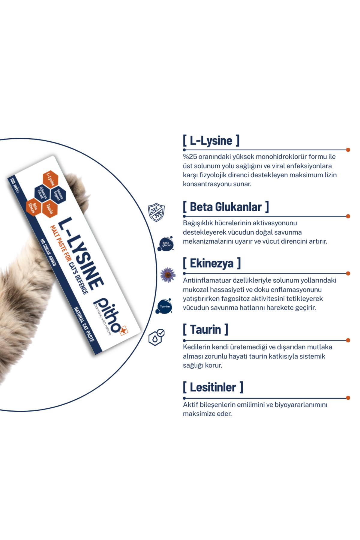 خمیر مالت گربه حاوی ال‌لیزین (L-Lysine)، پیثو Pitho مدل AntiViral