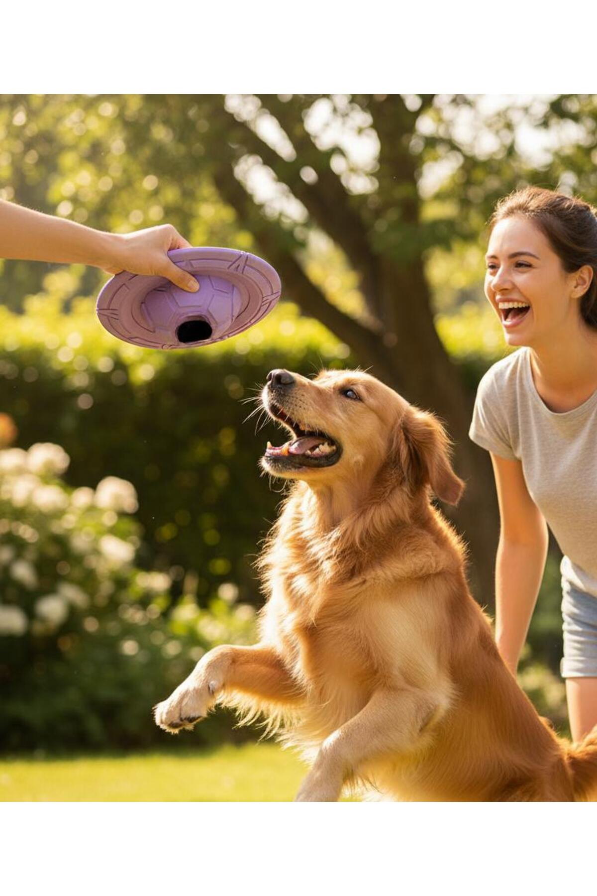 اسباب‌بازی سگ از لاستیک طبیعی چندرنگ PupFo پتزا Petza (1115156)