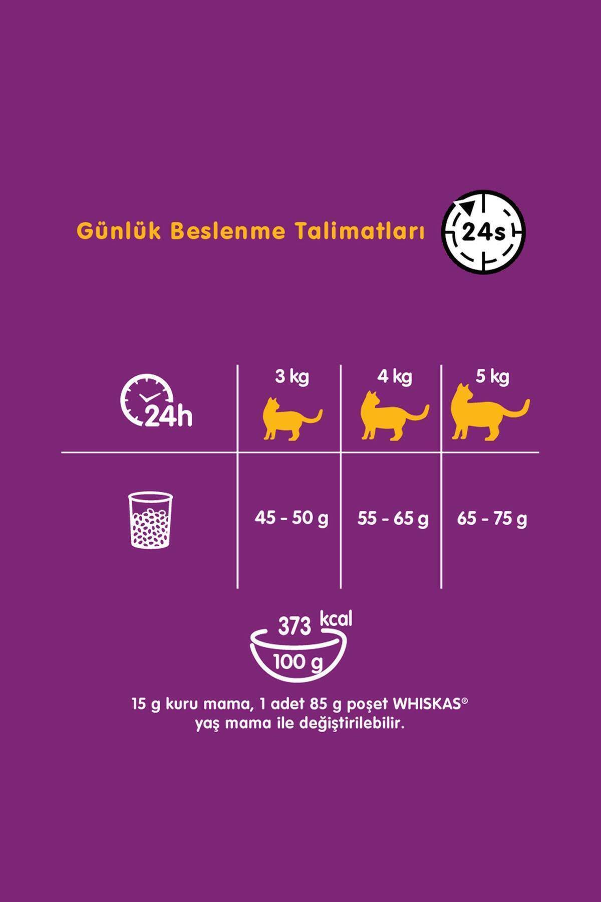 غذای خشک گربه ویسکاس Whiskas با طعم گوشت گاو و هویج، ۱۲ بسته ۳۰۰ گرمی
