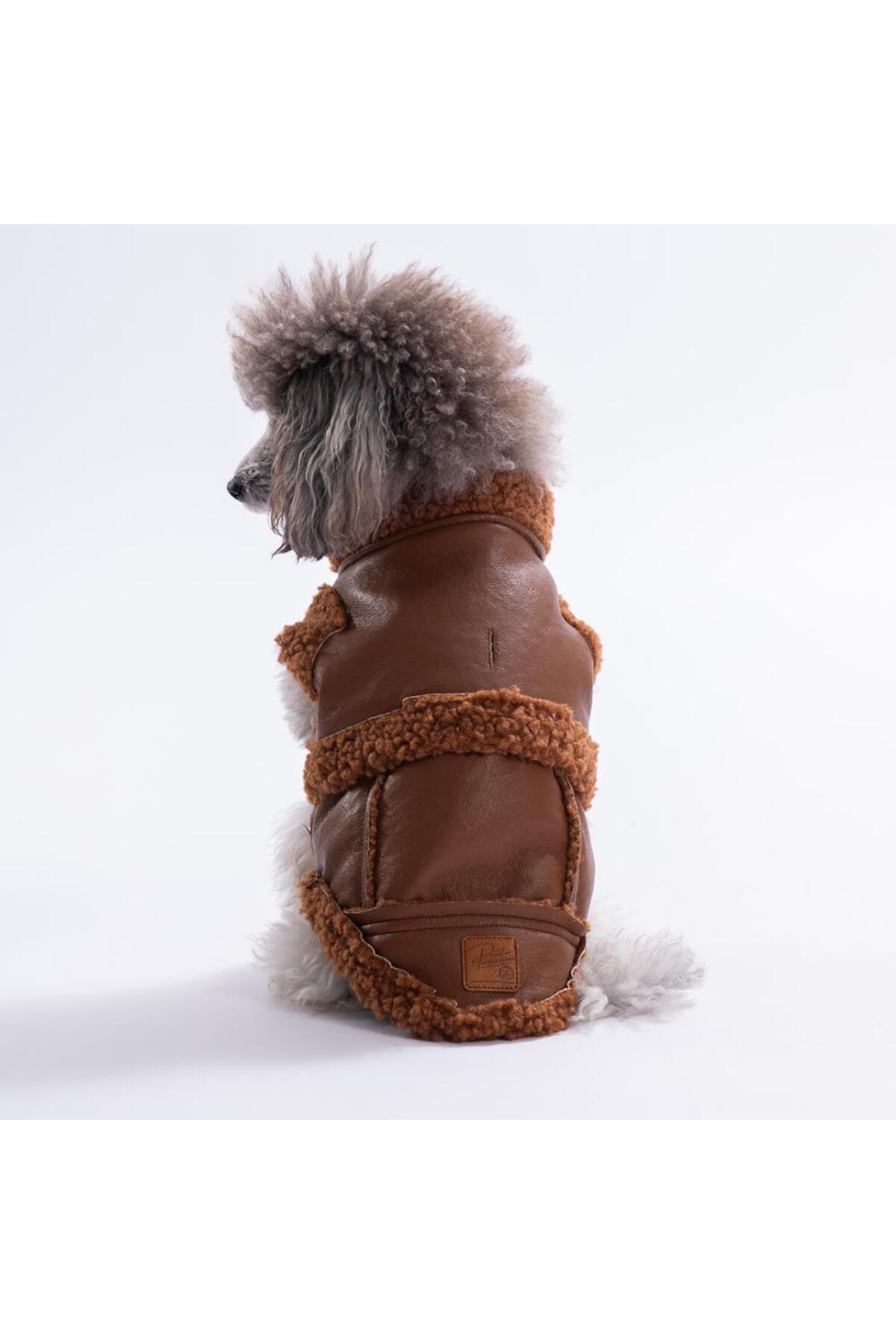 جلیقه ضخیم سگ پاوستار Pawstar Churchill، قهوه‌ای، مدل PS24-1043