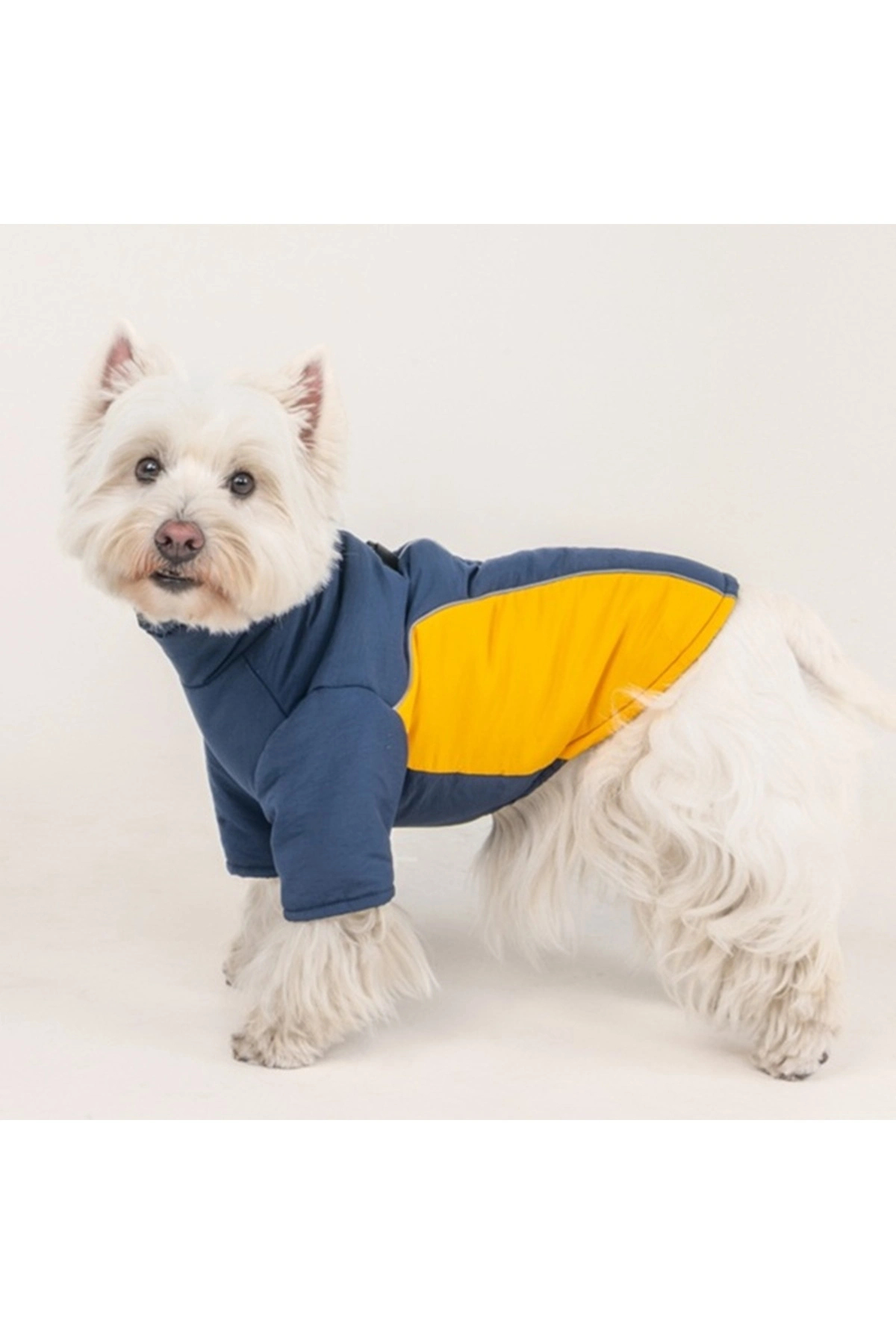 کاپشن سگ پوپیا Puppia مدل Terrain Active Jacket، سرمه‌ای