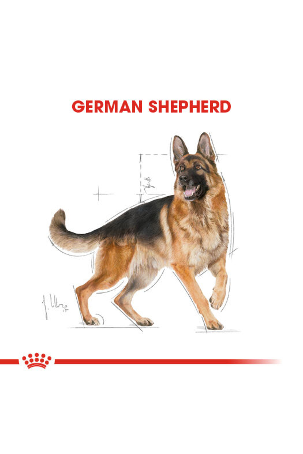 غذای خشک سگ بالغ ژرمن شپرد، طعم مرغ، رویال کنین Royal Canin 11 kg