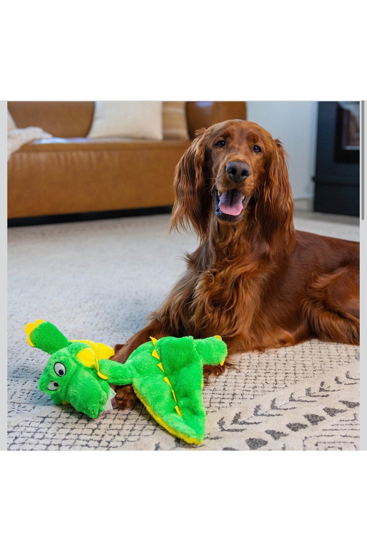 اسباب‌بازی سگ کروکودیل پولیشی سبز ۷۷ سانتی‌متری اوت‌وارد هاوند Outward Hound