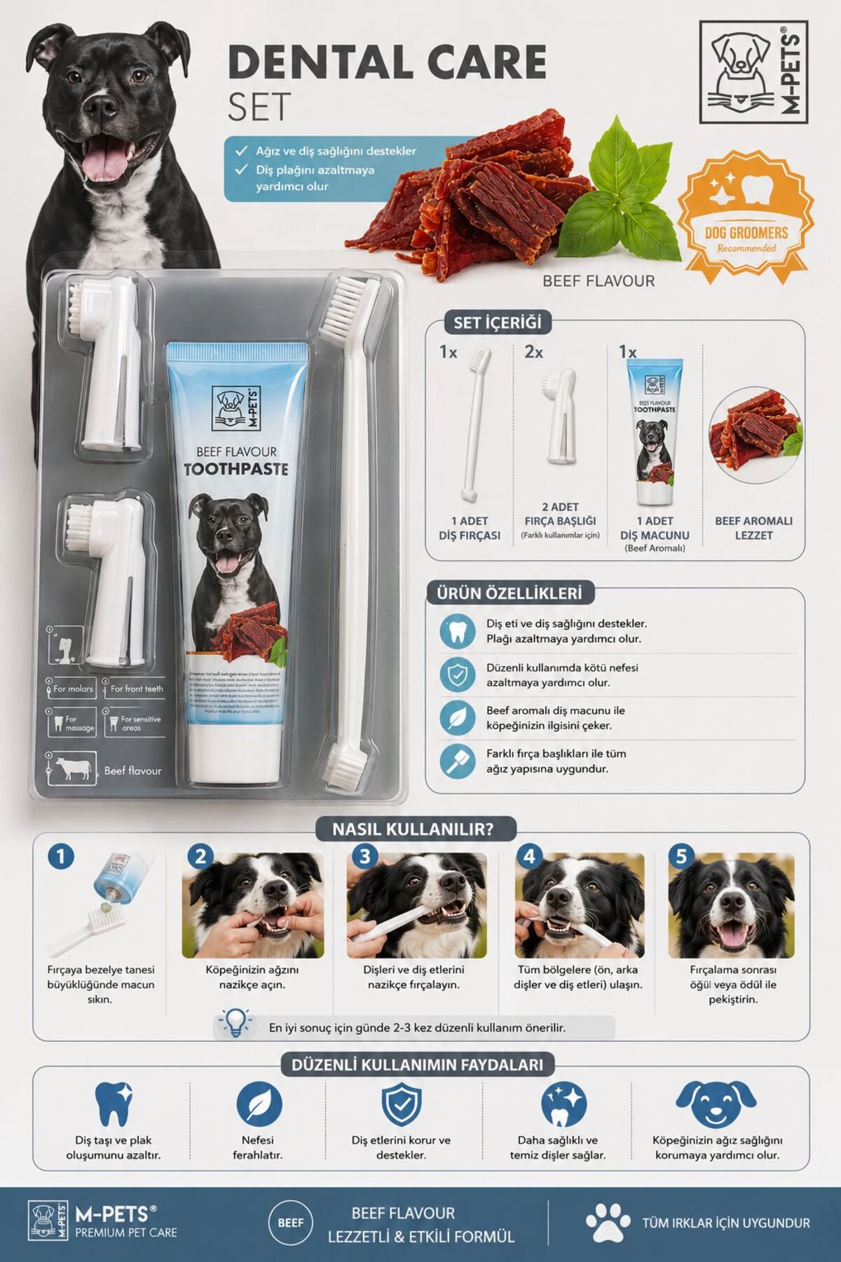 ست خمیردندان با طعم استیک و برس سگ ام‌پتس M-PETS، مدل BS0016