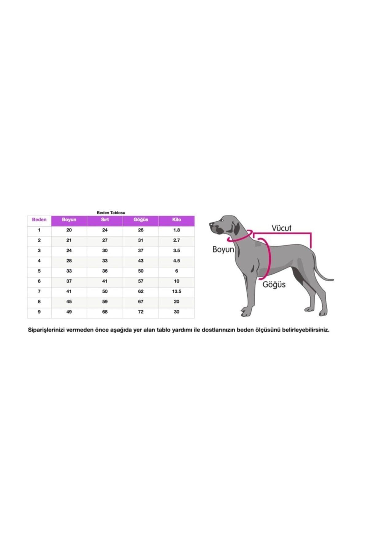 سویشرت سگ راه‌راه نارنجی نئونی میس دیزی پت بوتیک Miss Daisy Pet Boutique مدل MDNT001 چندرنگ