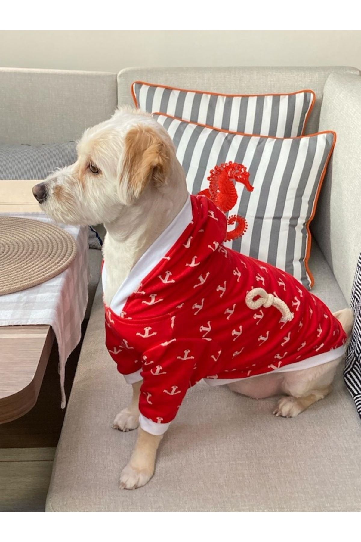 سویشرت سگ میس دیزی پت بوتیک Miss Daisy Pet Boutique مدل MDKD01، قرمز با تم دریانوردی