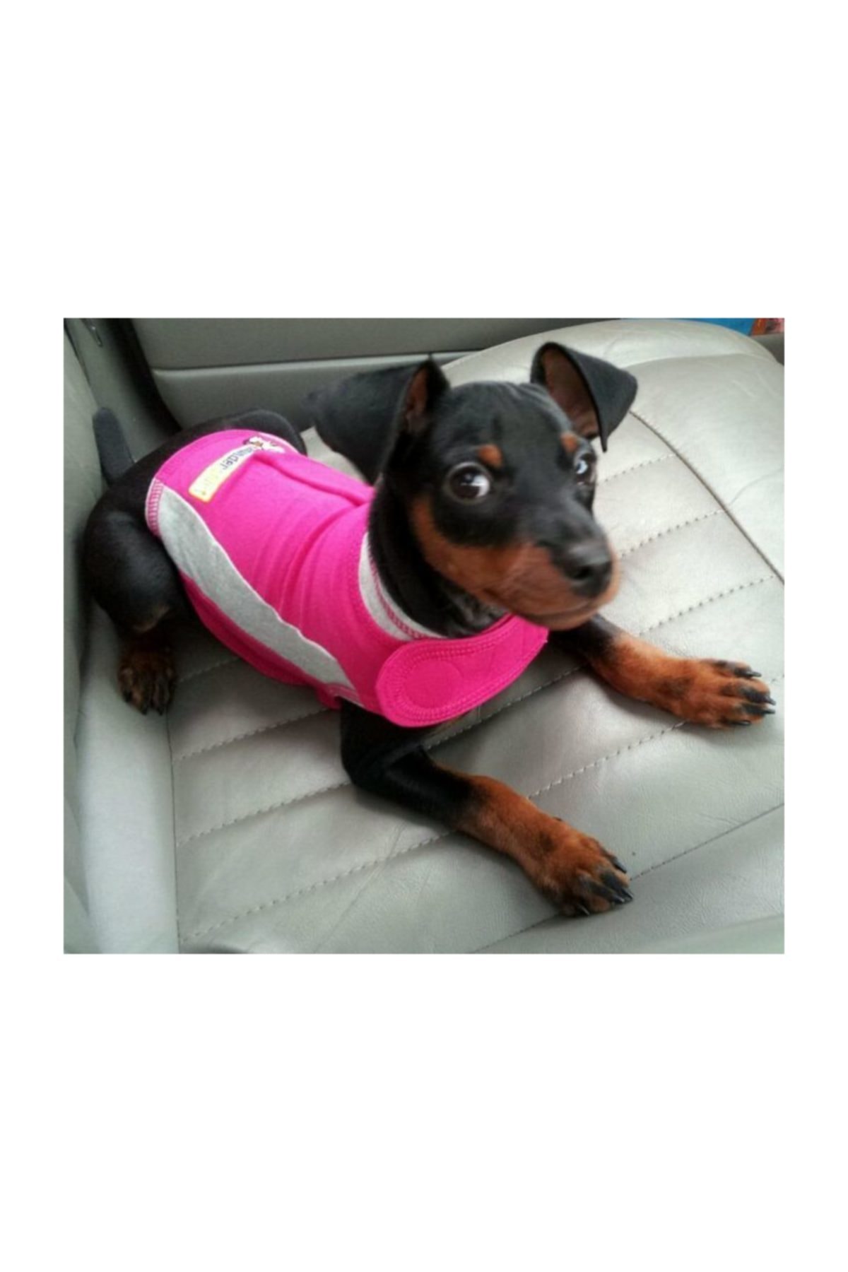 لباس آرام‌ساز سگ تندرشرت Thundershirt، سایز XS