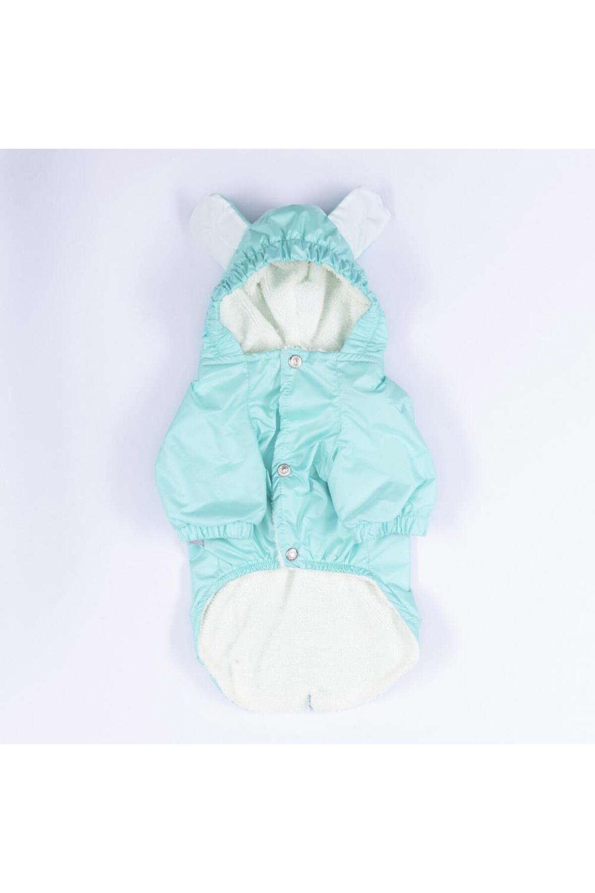 بارانی سبز سگ مدل Mint Sydney، پاوستار Pawstar، کد PS24-1031