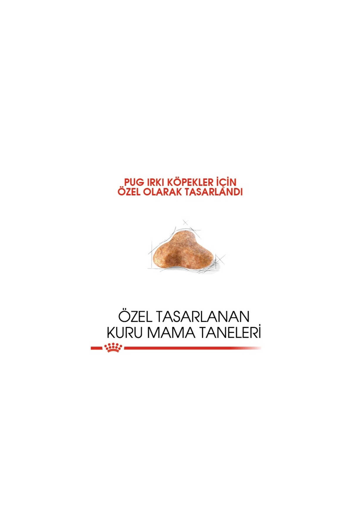 غذای خشک سگ پاگ بالغ رویال کنین Royal Canin، ۱٫۵ کیلوگرم 1.5 kg