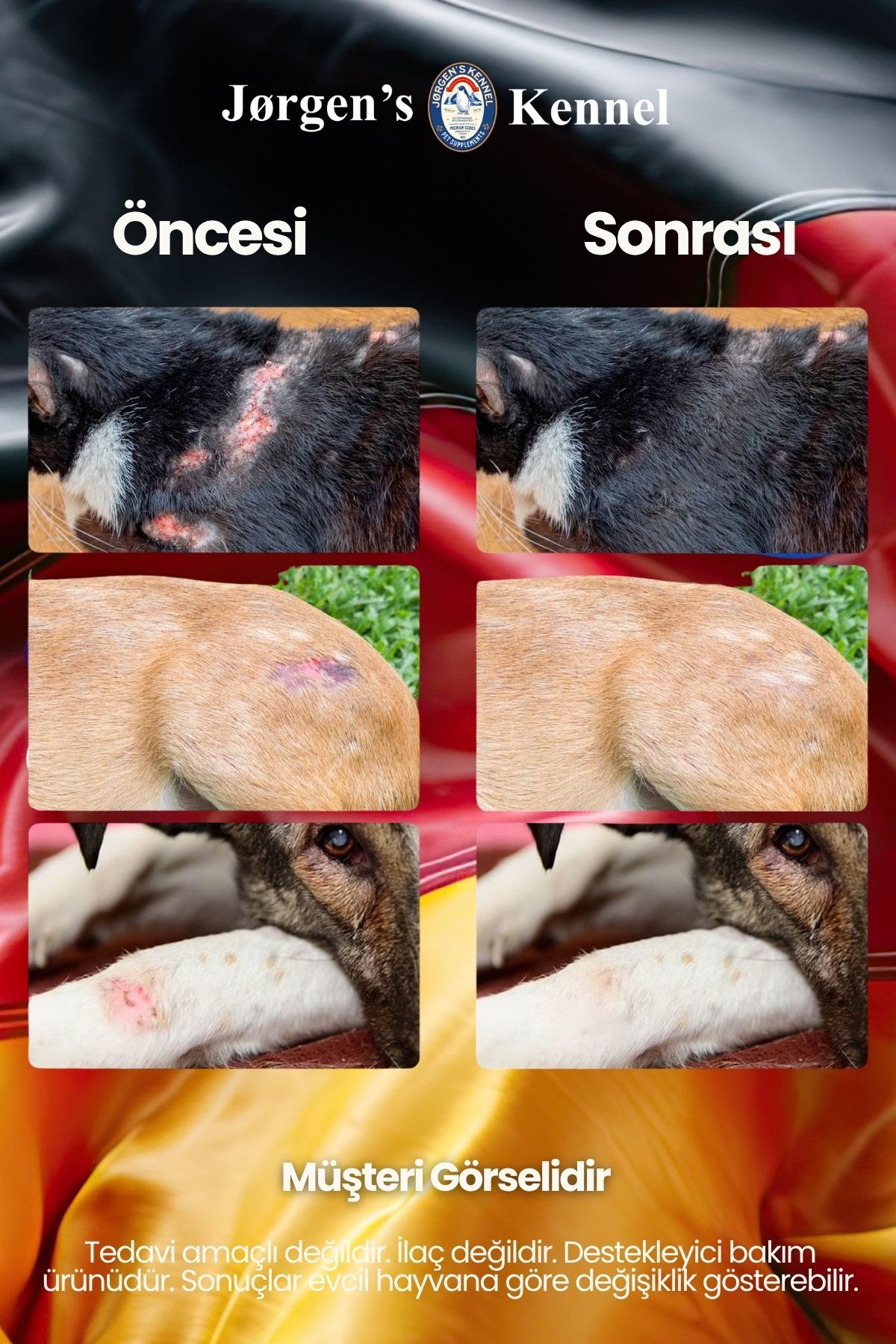 اسپری مراقبت از زخم و پوست سگ جورجنس کنل Jorgens Kennel، ضدقارچ، ۱۰۰ میلی‌لیتر