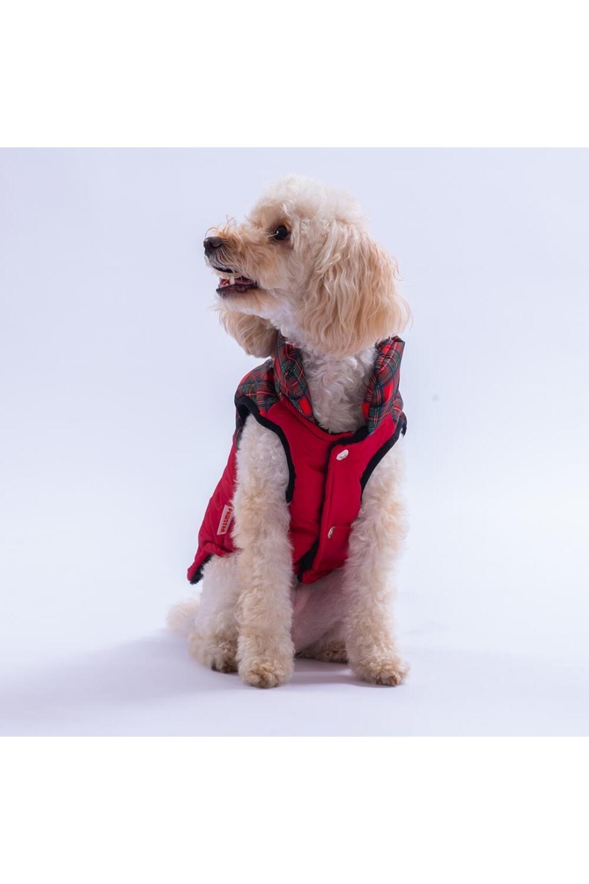 جلیقه سگ پاوستار Pawstar Elgin Paws مدل PS25-1091، قرمز با طرح چهارخانه