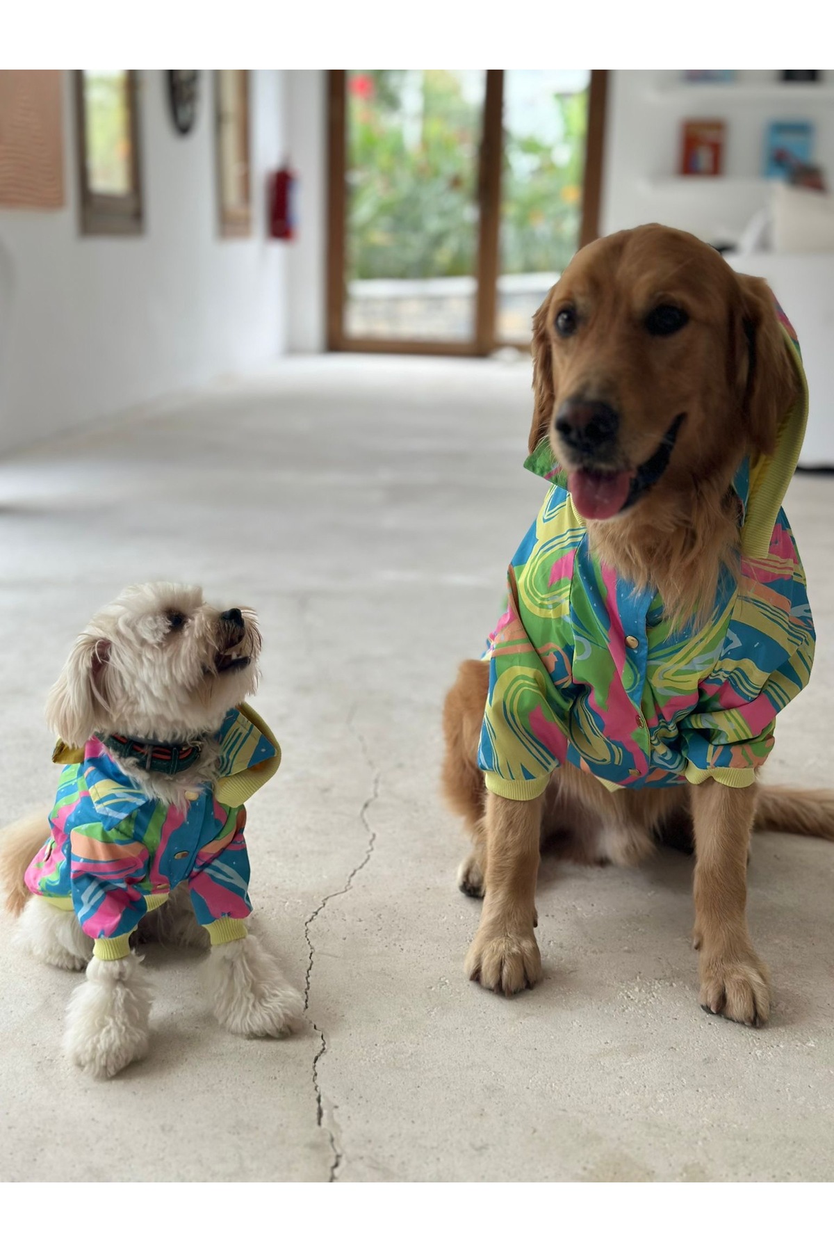 بارانی ضدآب چندرنگ گربه و سگ میس دیزی پت بوتیک Miss Daisy Pet Boutique مدل MDKKY01