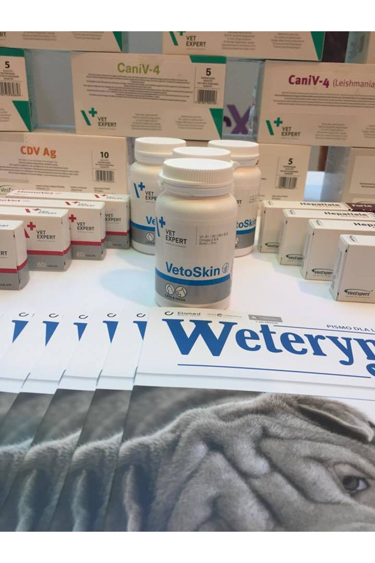 قرص ویتامین گربه وت اکسپرت vet expert VetExpert VetoSkin