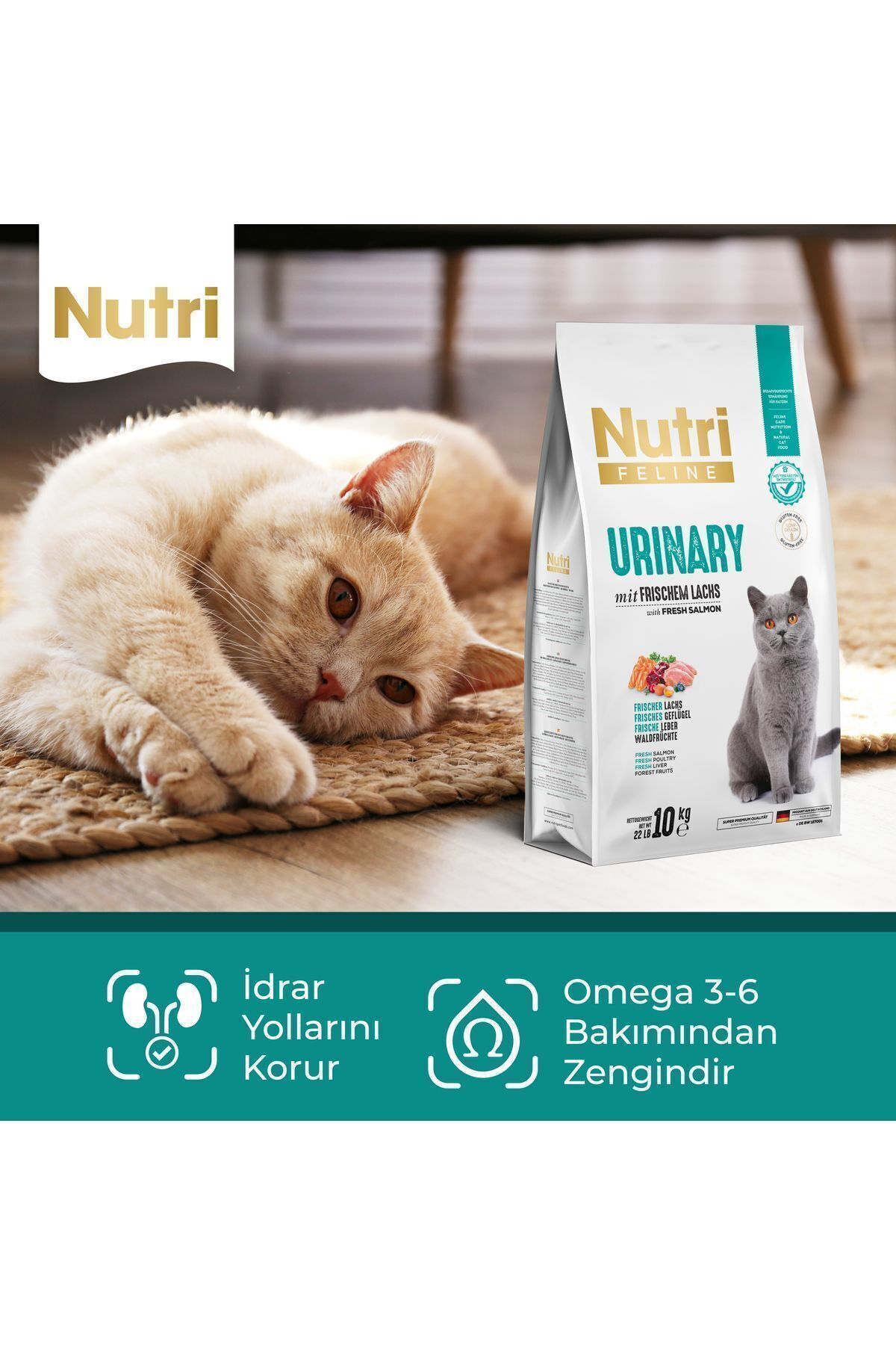 غذای خشک گربه بالغ Nutri Urinary، کم‌غلات، ۲ کیلوگرمی