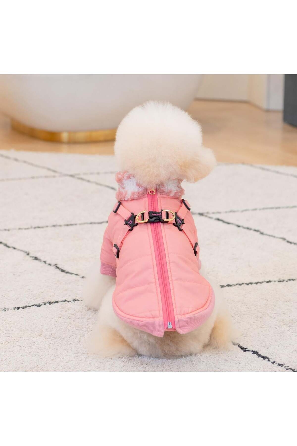 کاپشن سگ بندسینه‌دار پینکاهولیک Pinkaholic، New York XENIA