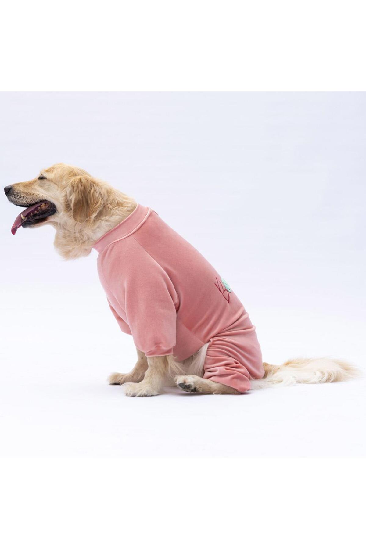 لباس سرهمی سگ نژاد بزرگ پاوستار Pawstar مدل Rose Angers، صورتی
