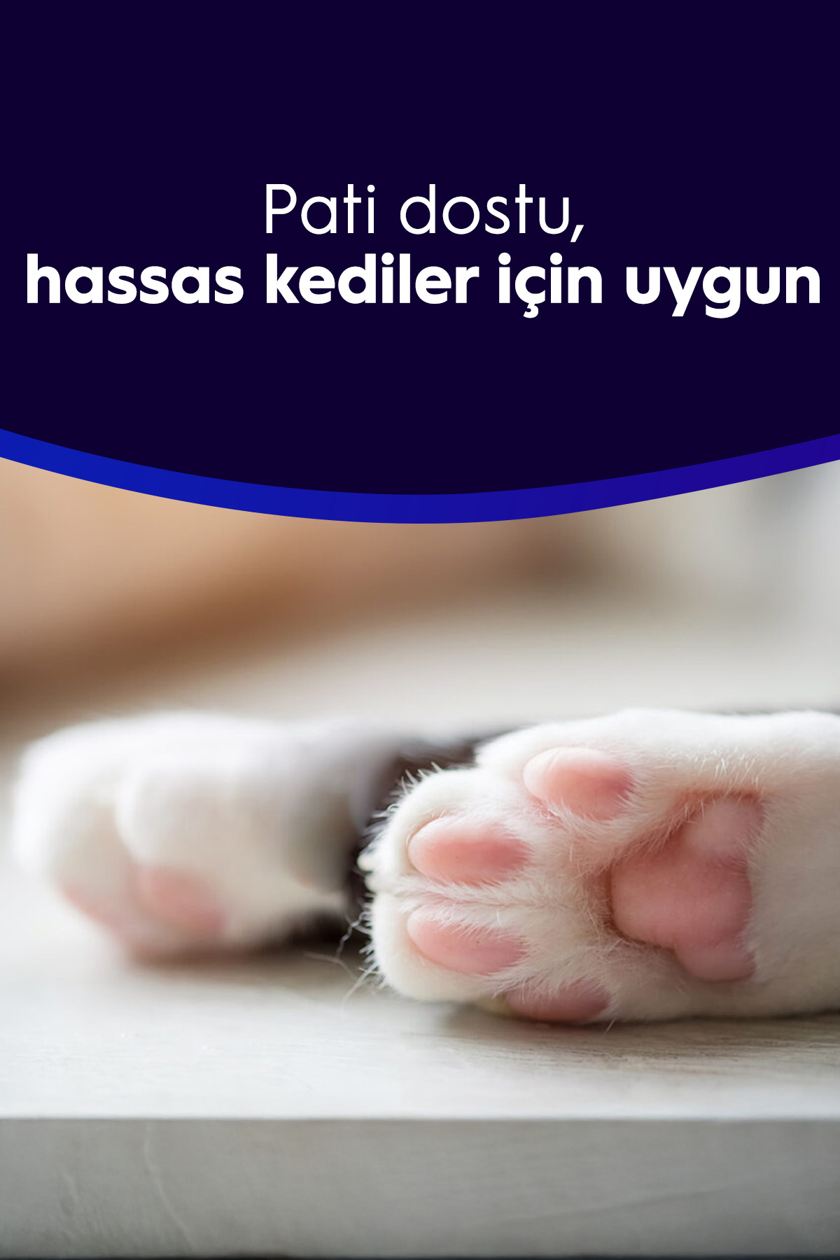 خاک گربه کلامپ‌شونده طبیعی ۶ لیتری سیوکت SIVOCAT