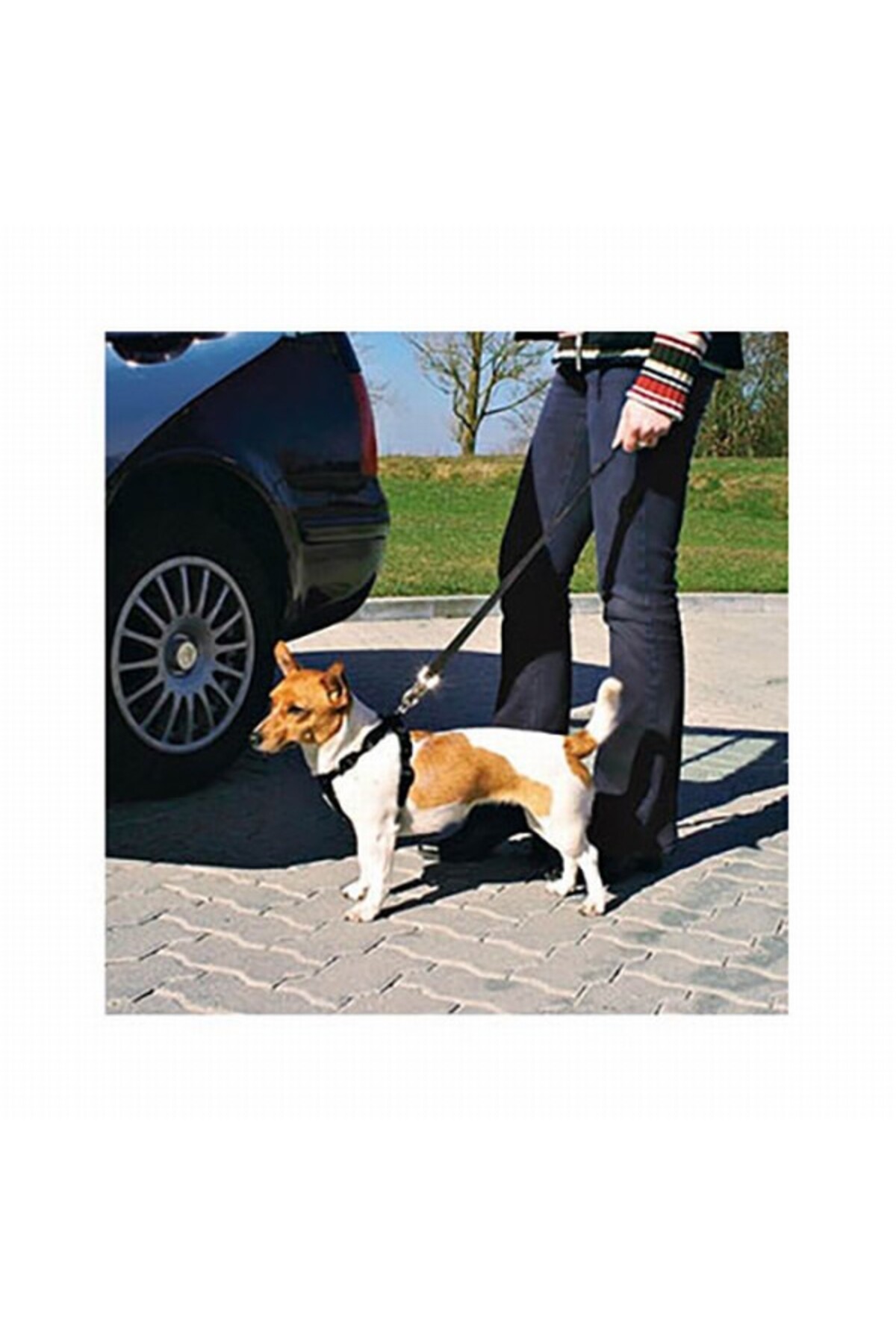 کمربند ایمنی سگ تریکسی Trixie Large، ۷۰ تا ۹۰ سانتی‌متر (KA.28011)
