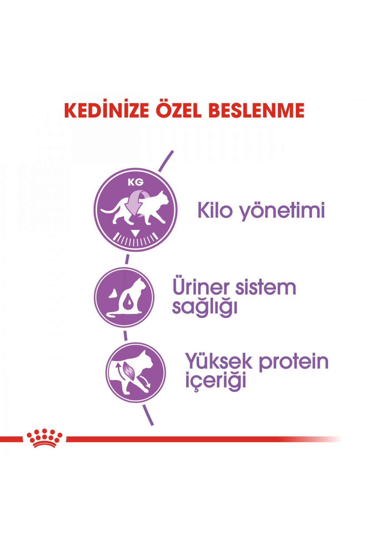 غذای خشک گربه عقیم‌شده رویال کنین Royal Canin Sterilised 37، ۱۵ کیلوگرم