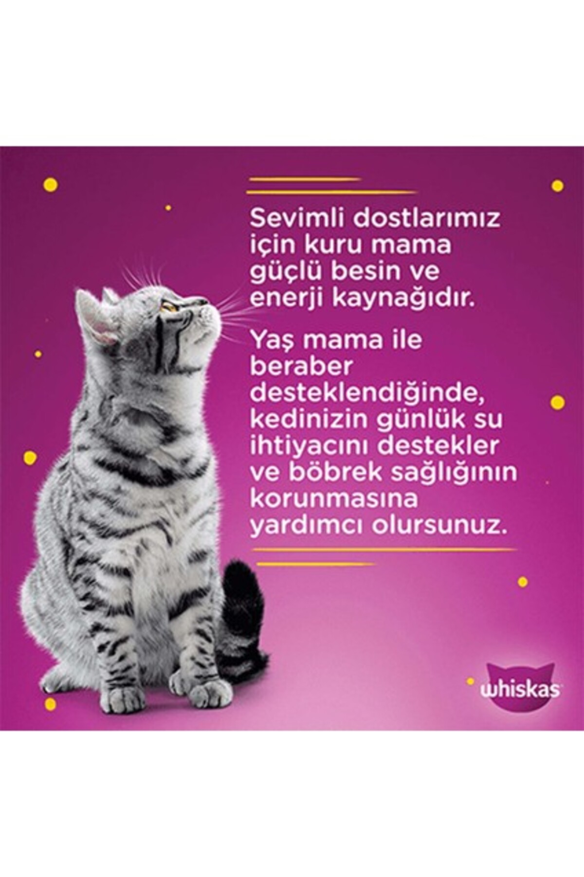 غذای کنسروی گربه ویسکاس Whiskas با طعم گوشت گاو، ۴۰۰ گرمی، بسته ۲۴ عددی