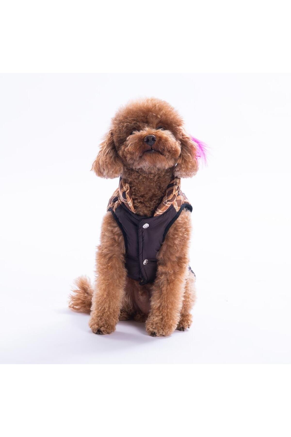 جلیقه سگ پاواستار Pawstar، Elgin Paws، قهوه‌ای با طرح چهارخانه، مدل 25103 قهوه‌ای و چندرنگ