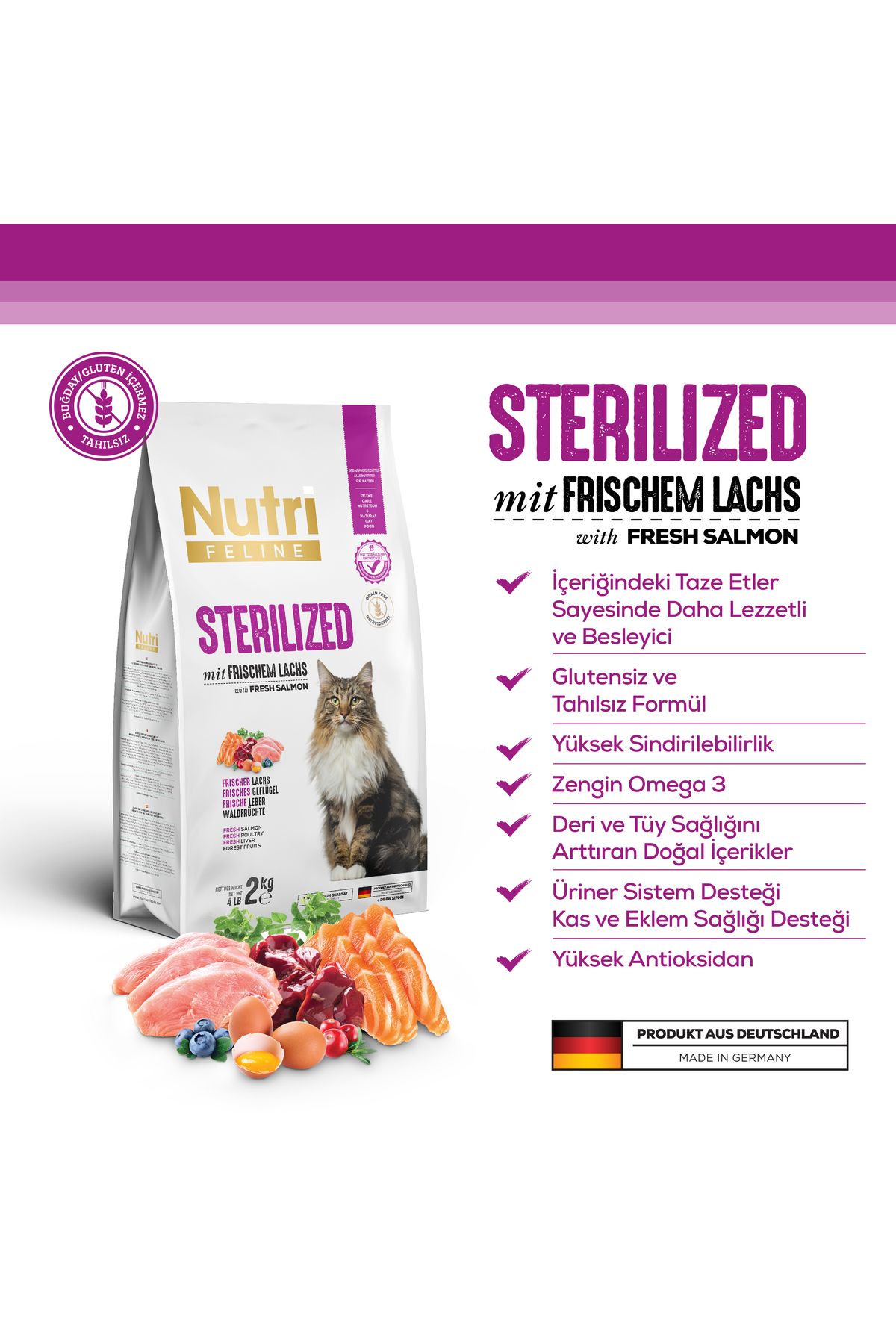 غذای خشک گربه عقیم‌شده نوتری فیلاین nutrifeline Nutri Feline سری Sterilized با سالمون تازه، ۲ کیلوگرم