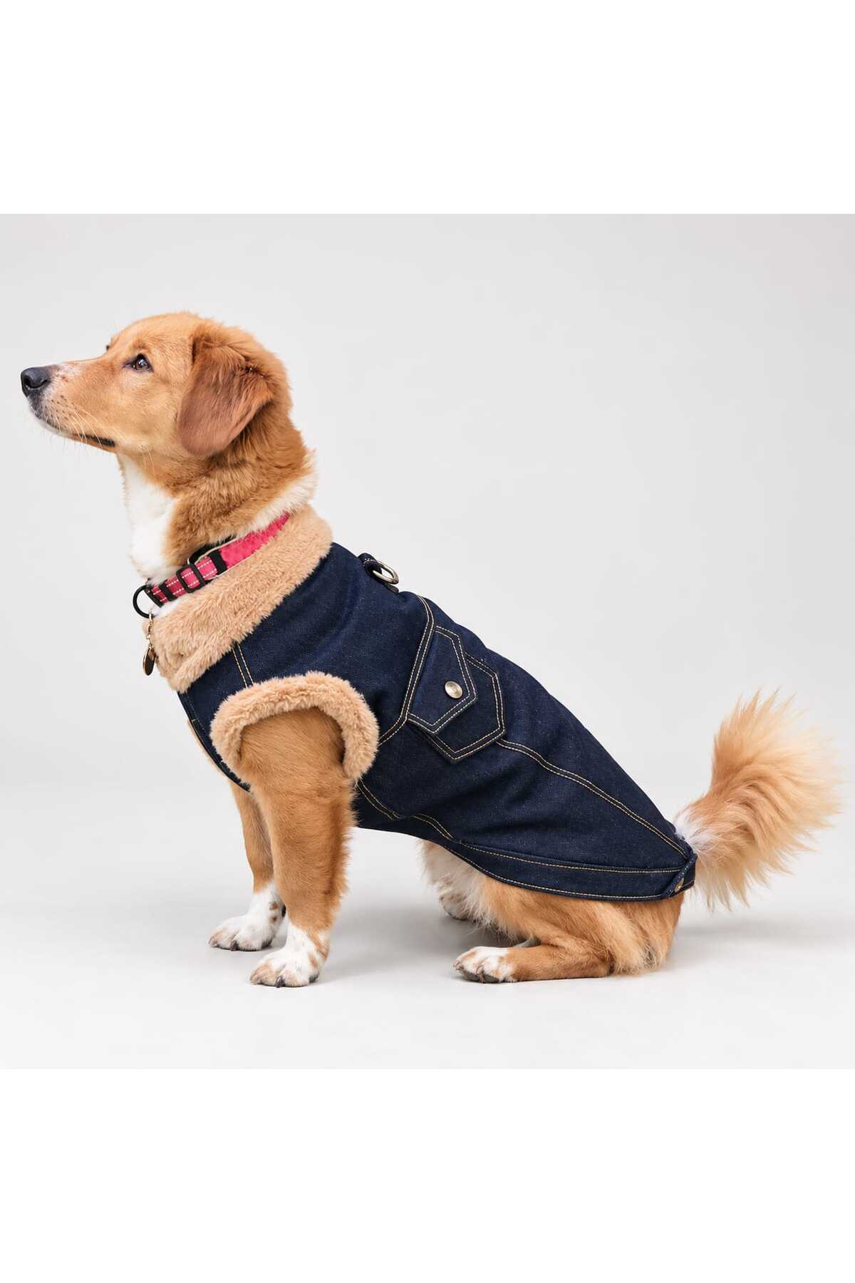 کت جین سگ Cosy Up لولو د اربن پاپ Lulu The Urban Pup با آستر پشم مصنوعی آبی