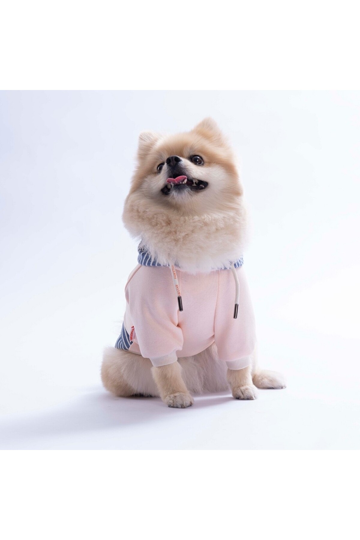 هودی سگ صورتی Sera Stripe پاواستار Pawstar مدل PS26-1149