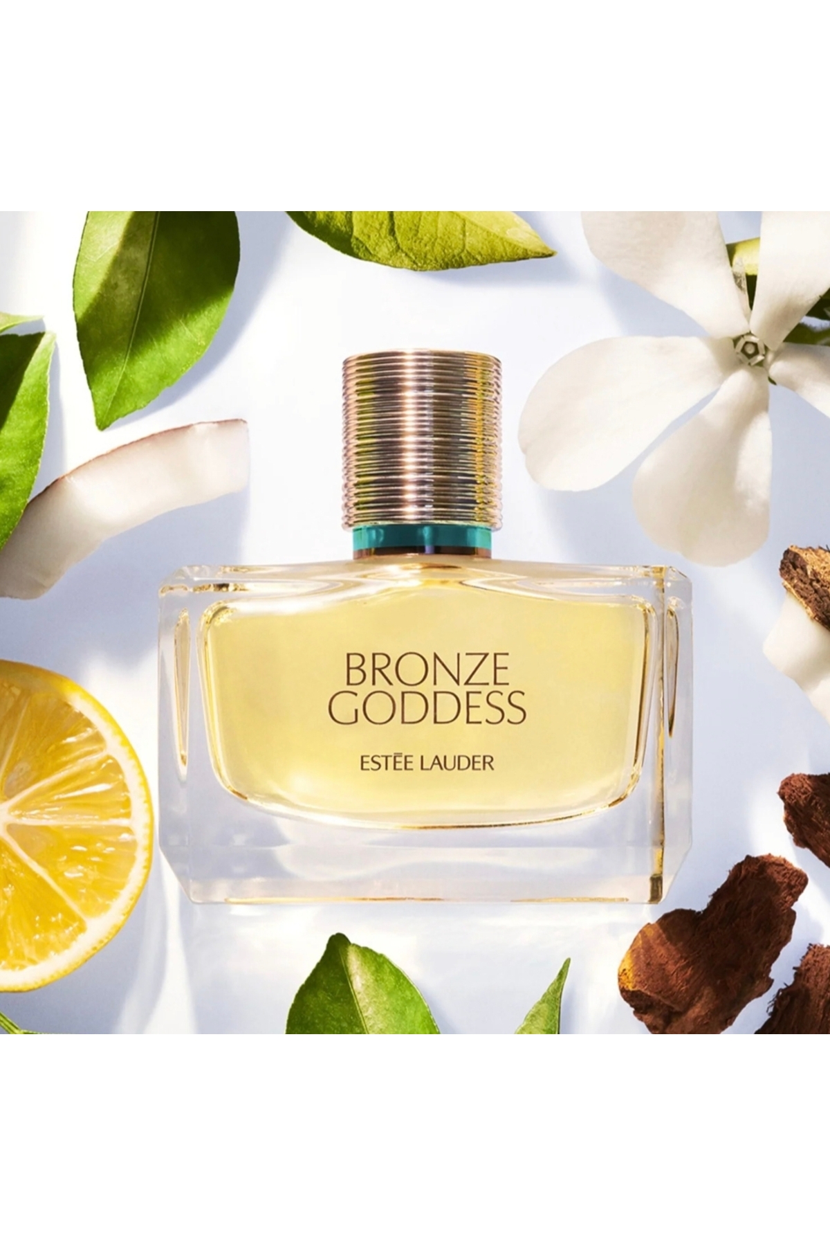 عطر خنک برنز گادس ۵۰ میلی لیتر استی لادر Estee Lauder