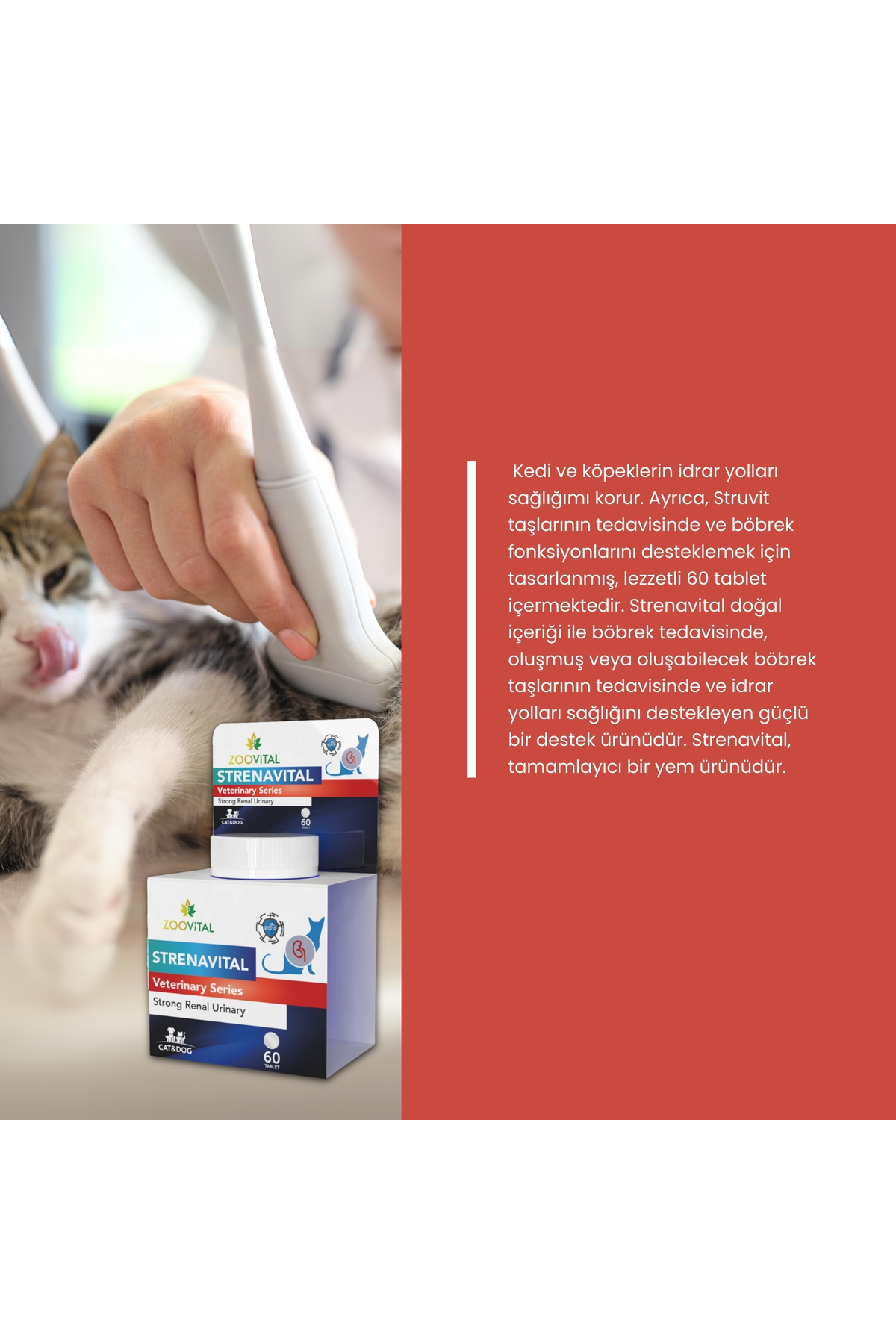 مکمل قرصی گربه Strenavital زوویتال Zoovital برای حمایت از دستگاه ادراری، مدل 11468