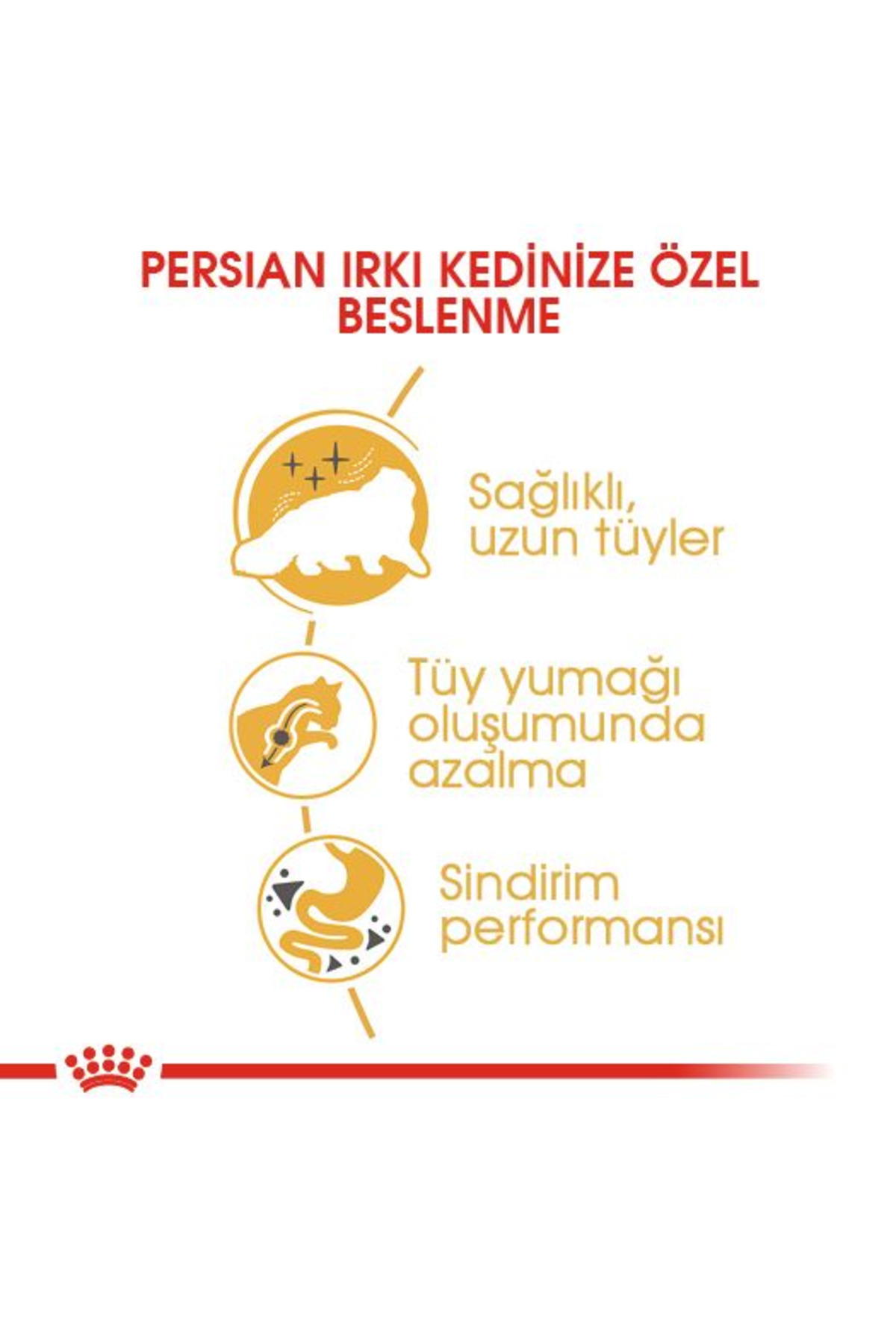 غذای خشک گربه پرشین رویال کنین Royal Canin، ۴۰۰ گرم