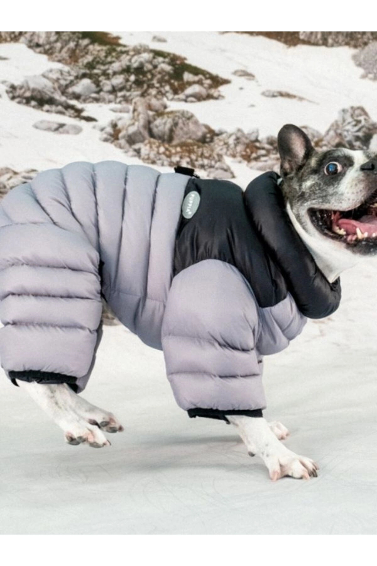 کاپشن سگ پوپیا Puppia مدل Alpine Puffer Suit خاکستری