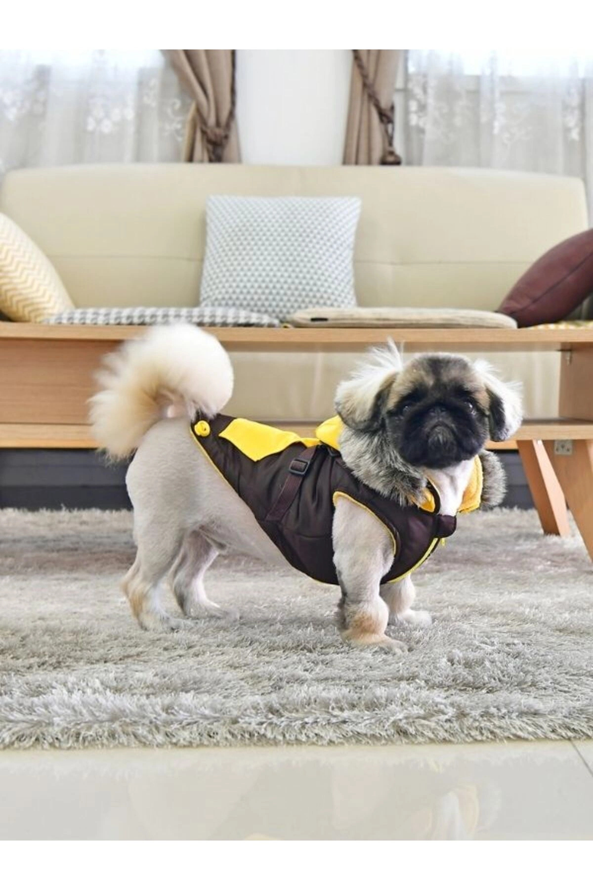 کاپشن سگ Orson پاپیا Puppia، قهوه‌ای، مدل PARD-VT1569