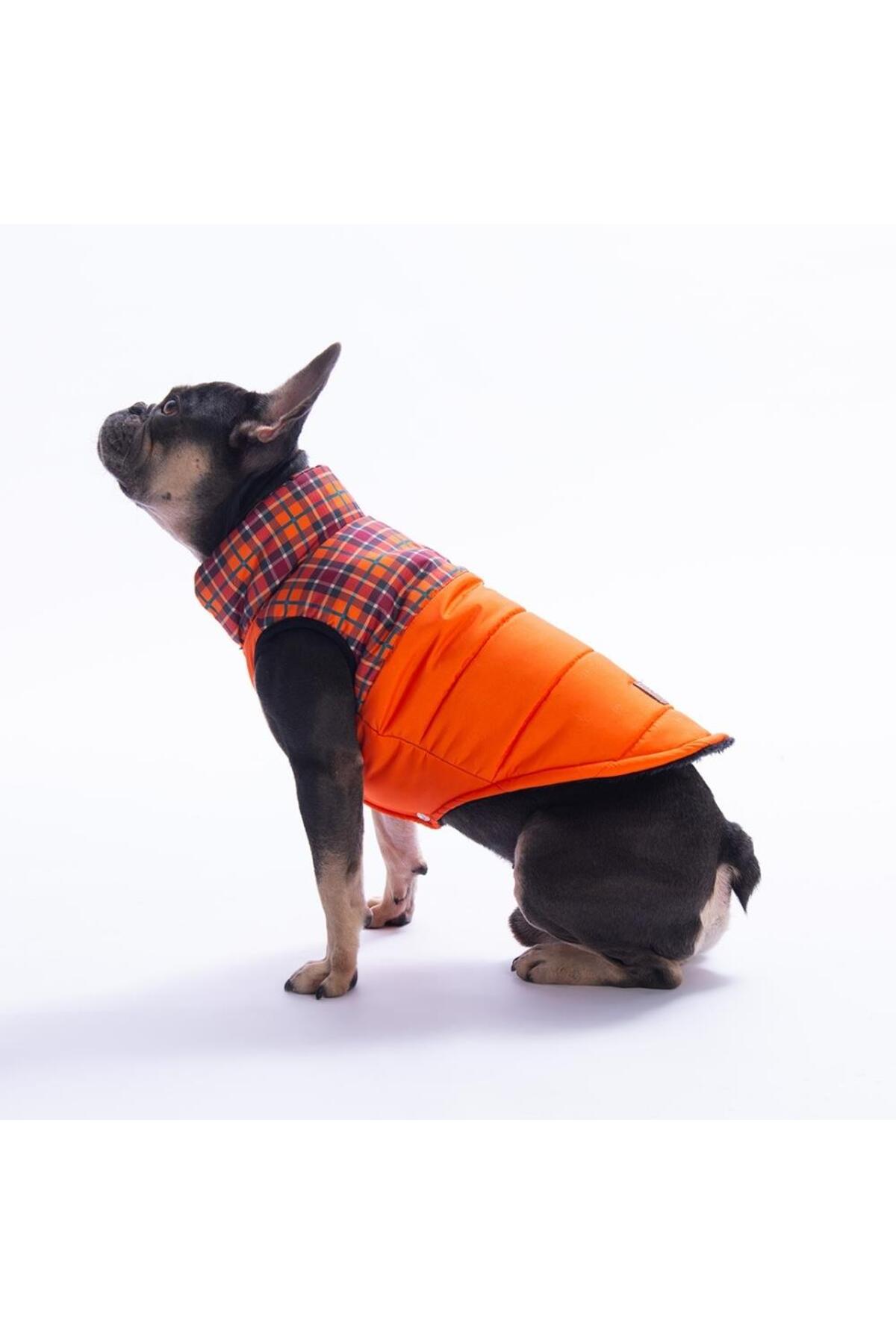 جلیقه بارانی سگ پاواستار Pawstar، طرح چهارخانه Elgin Paws، مدل 25102