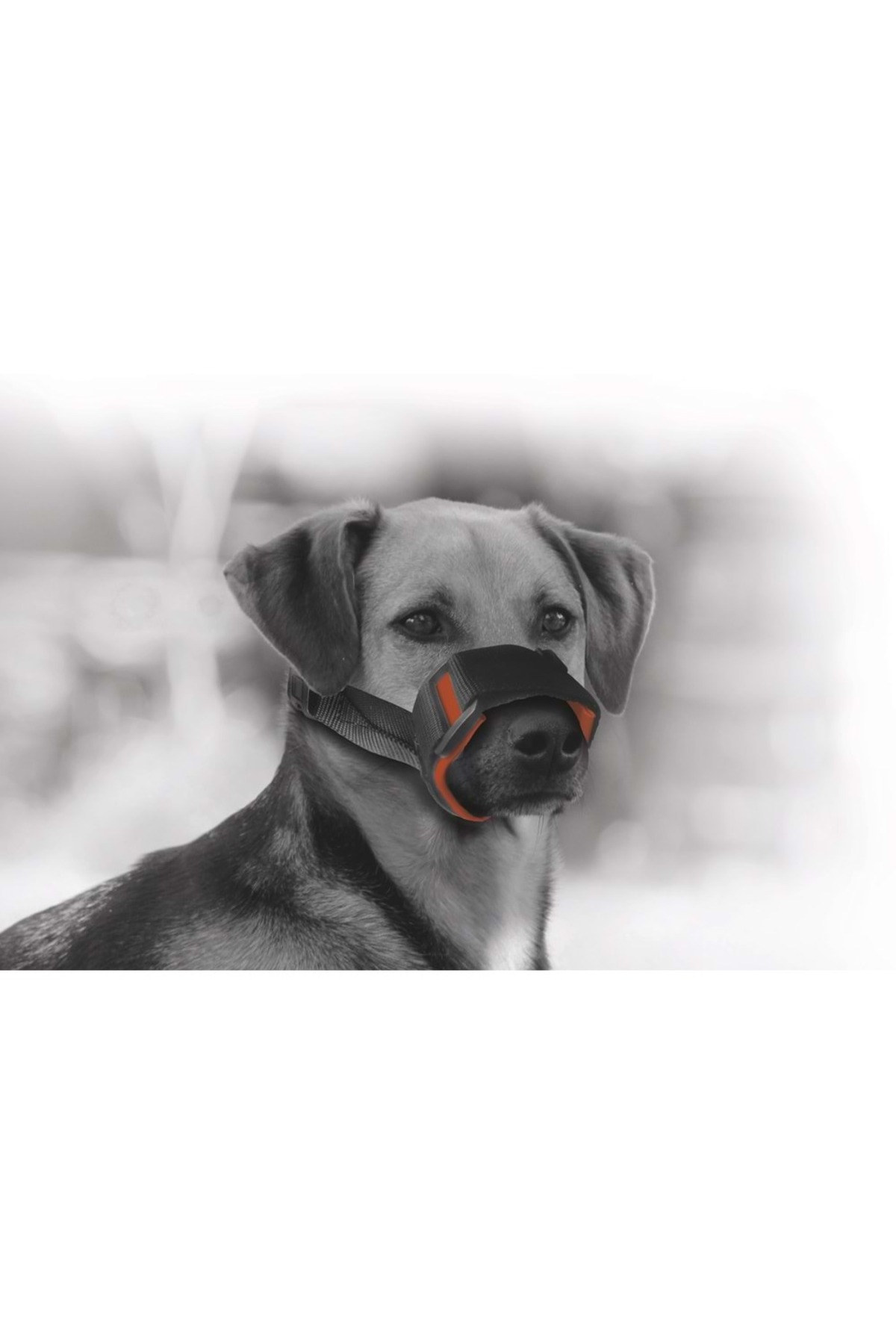 پوزه‌بند پارچه‌ای نرم سگ ام‌پتس M-PETS سایز S