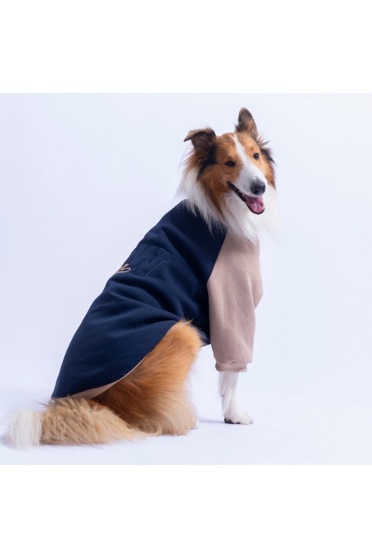 سویشرت سگ پاوستار Pawstar مدل Boston، سرمه‌ای، مناسب نژادهای متوسط و بزرگ