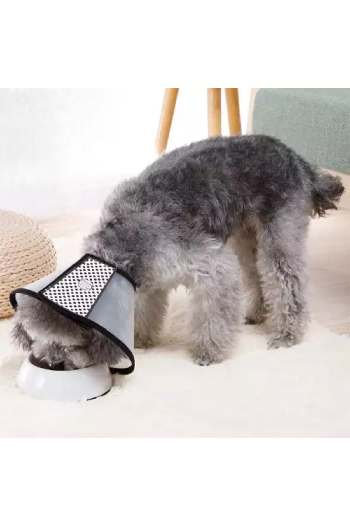 قلاده الیزابت گربه و سگ پت pet، شماره ۵، ۱۸–۲۷ سانتی‌متر و ۱۲٫۵ سانتی‌متر