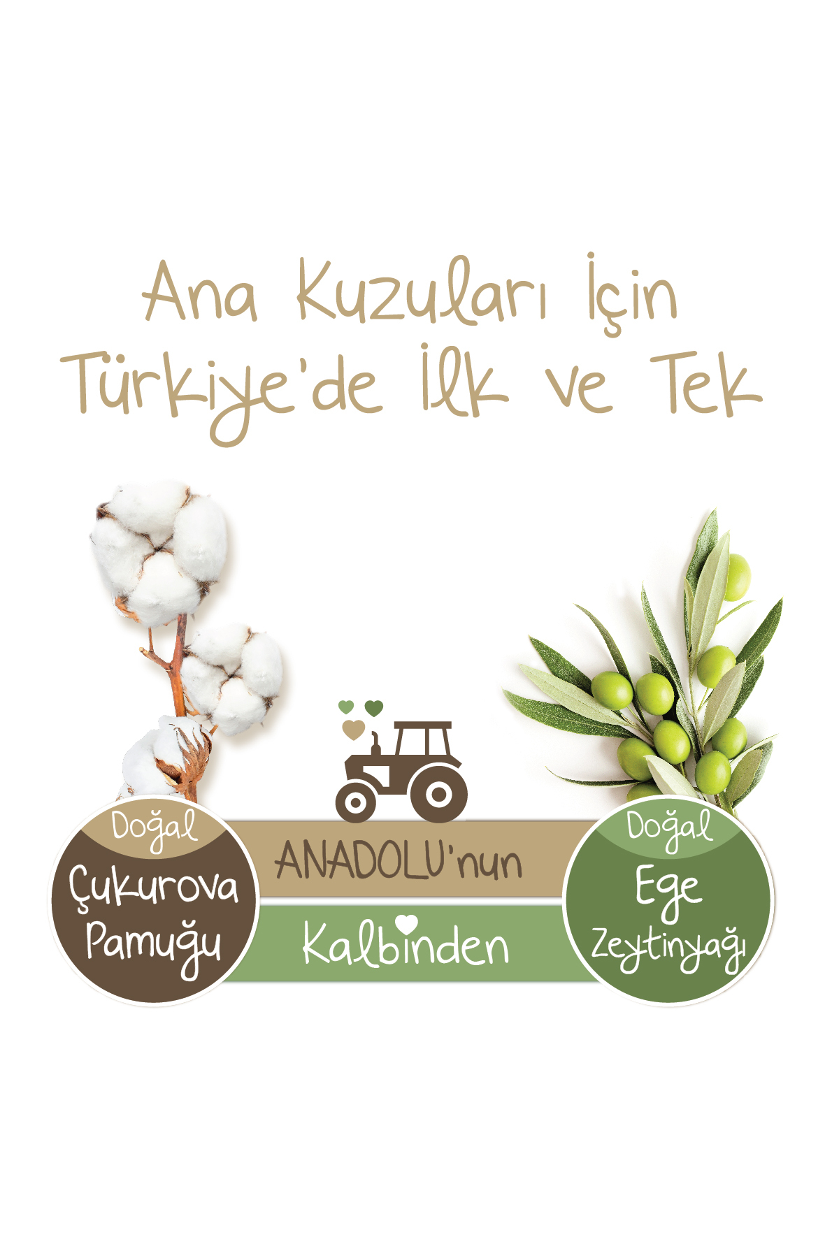 پوشک بچه بسته فرصت دوغادان سایز 2 مینی 48 عدد اورجینال Baby Turco