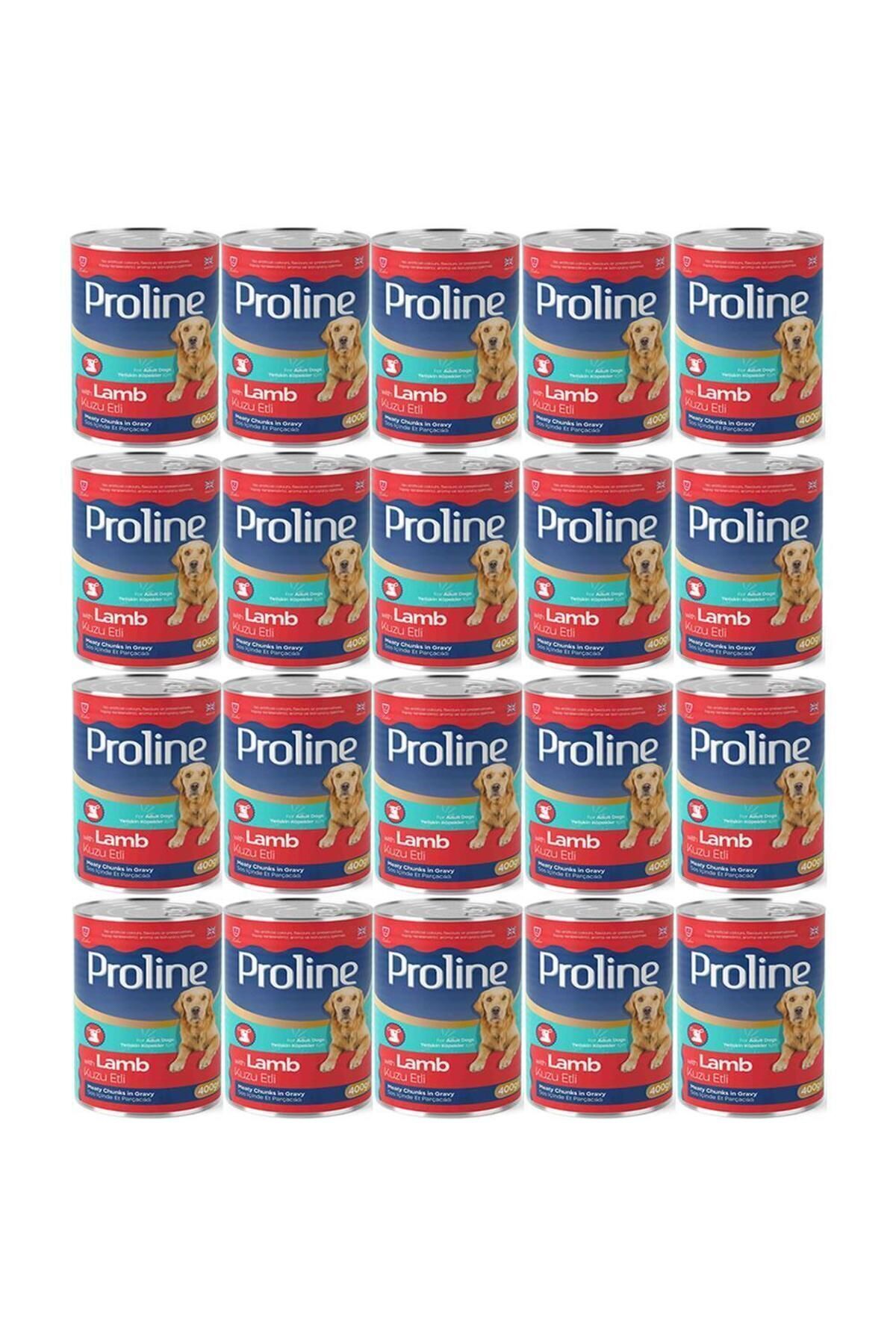 کنسرو غذای سگ بالغ پرو‌لاین Proline با طعم بره، ۲۰ عددی