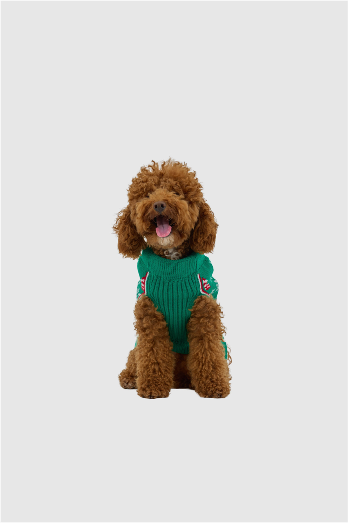 لباس بافتنی سگ تارپاز TARPAWS Merry Green، سبز