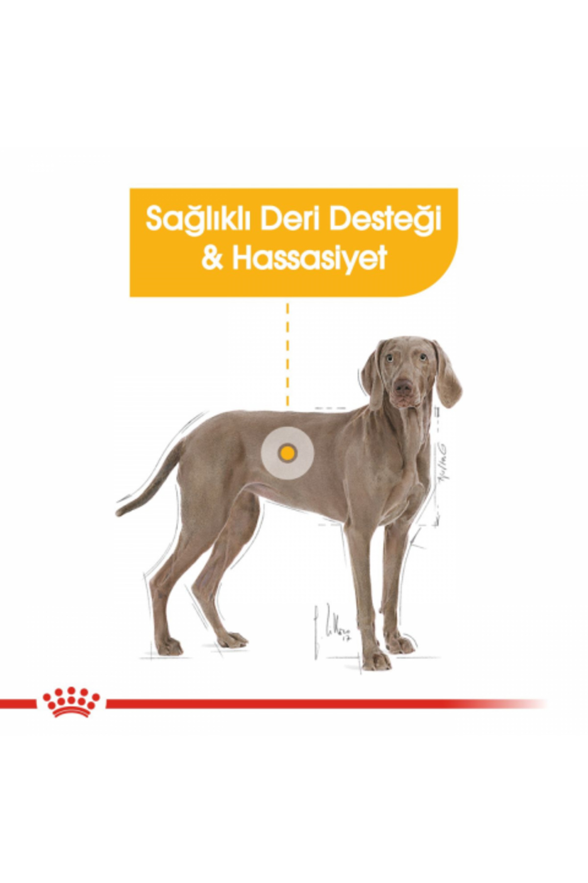 غذای خشک سگ رویال کنین Royal Canin Maxi Dermacomfort با طعم مرغ، ۱۲ کیلوگرم
