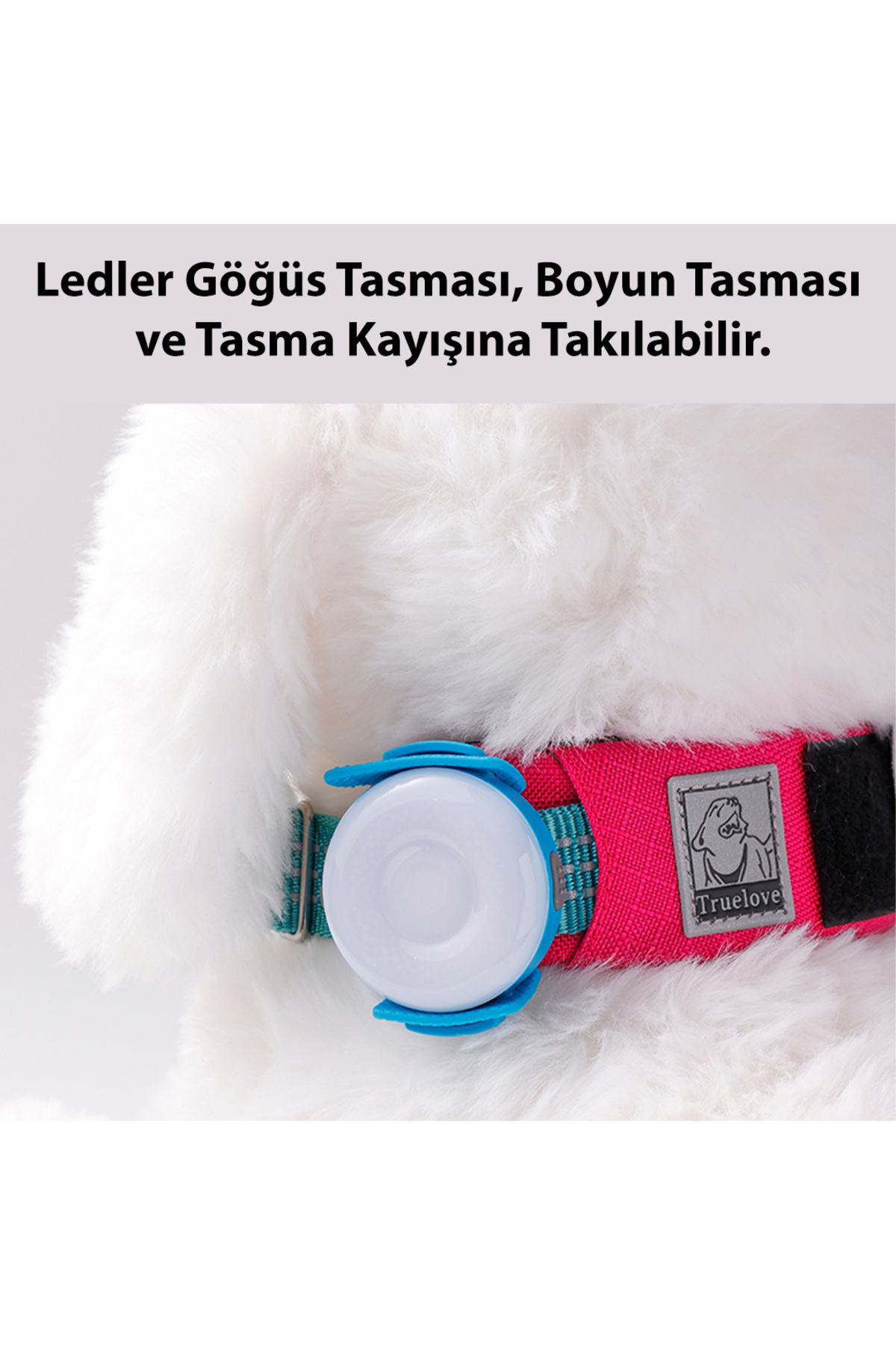 چراغ LED سبز شارژی مقاوم در برابر آب سگ ترو لاو True Love مدل MLD-001