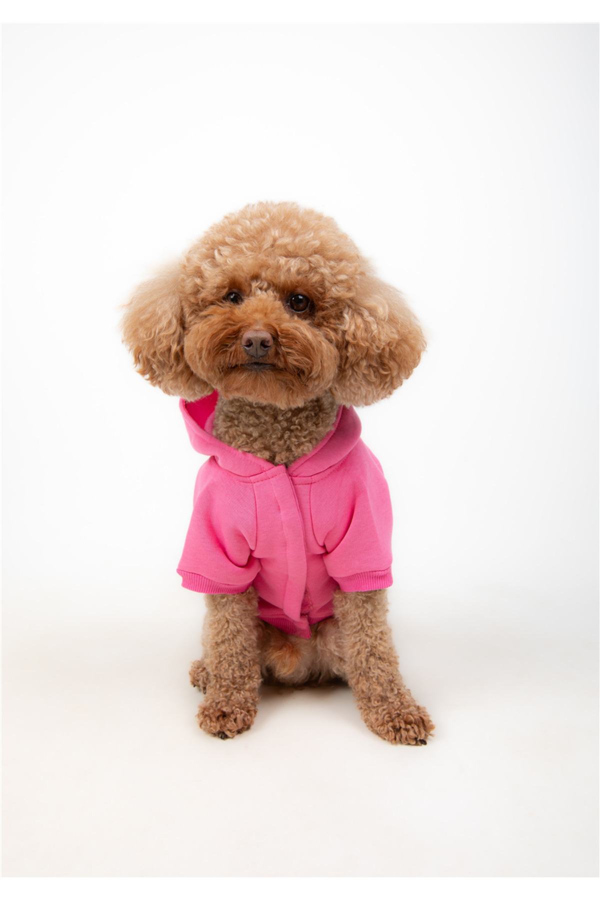 سویشرت کلاه‌دار سگ تارباز تارپاز TARPAWS مدل Hi Pink