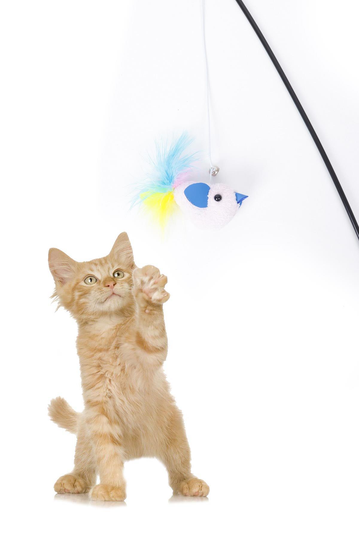 اسباب‌بازی چوب‌ماهیگیری گربه با پرنده پولیشی صورتی گوبی‌پت GOBYPET مدل 003941