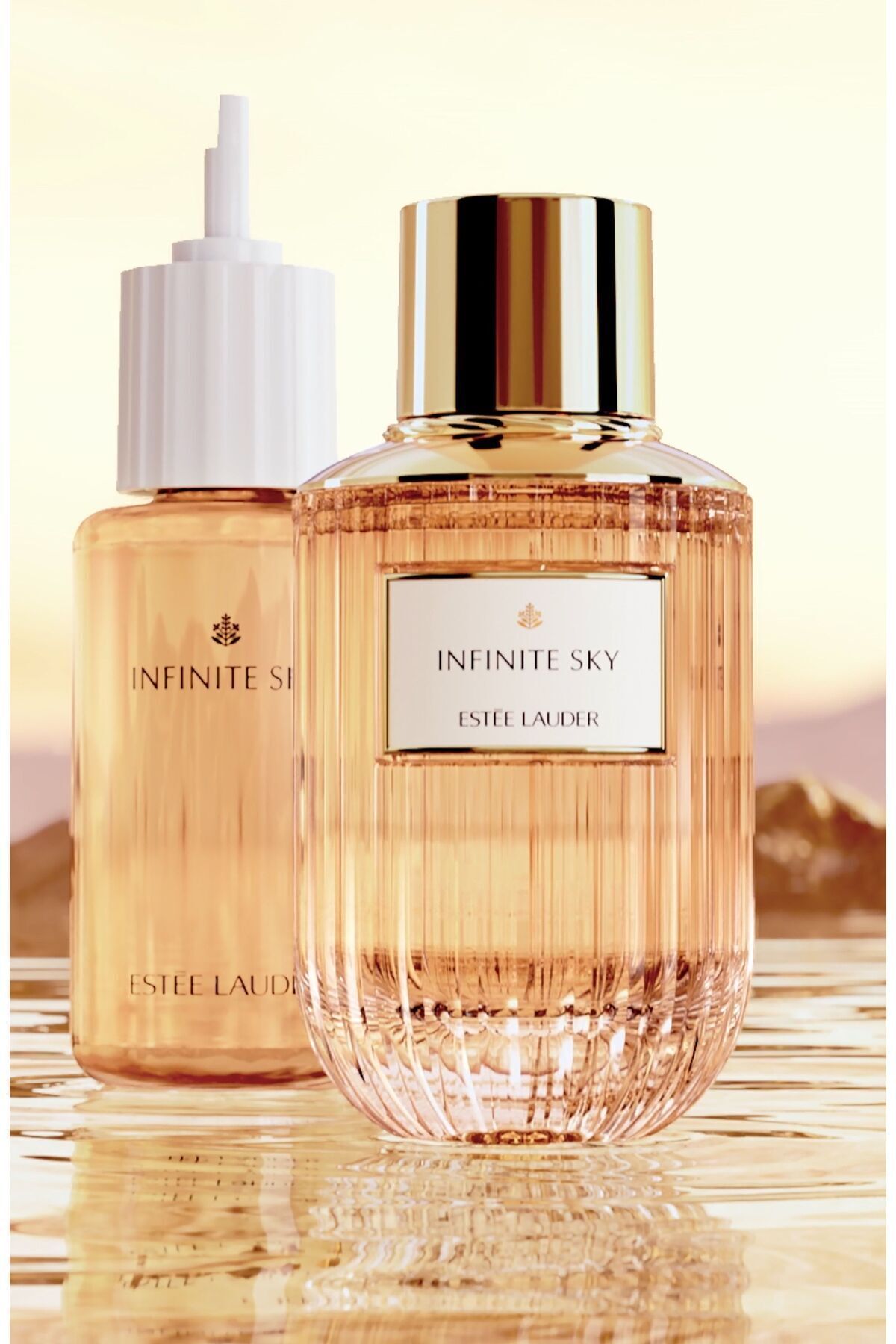 Estee Lauder Infinite Sky - ادوپرفیوم 100 ml عطر زنانه مجموعه عطرهای لوکس