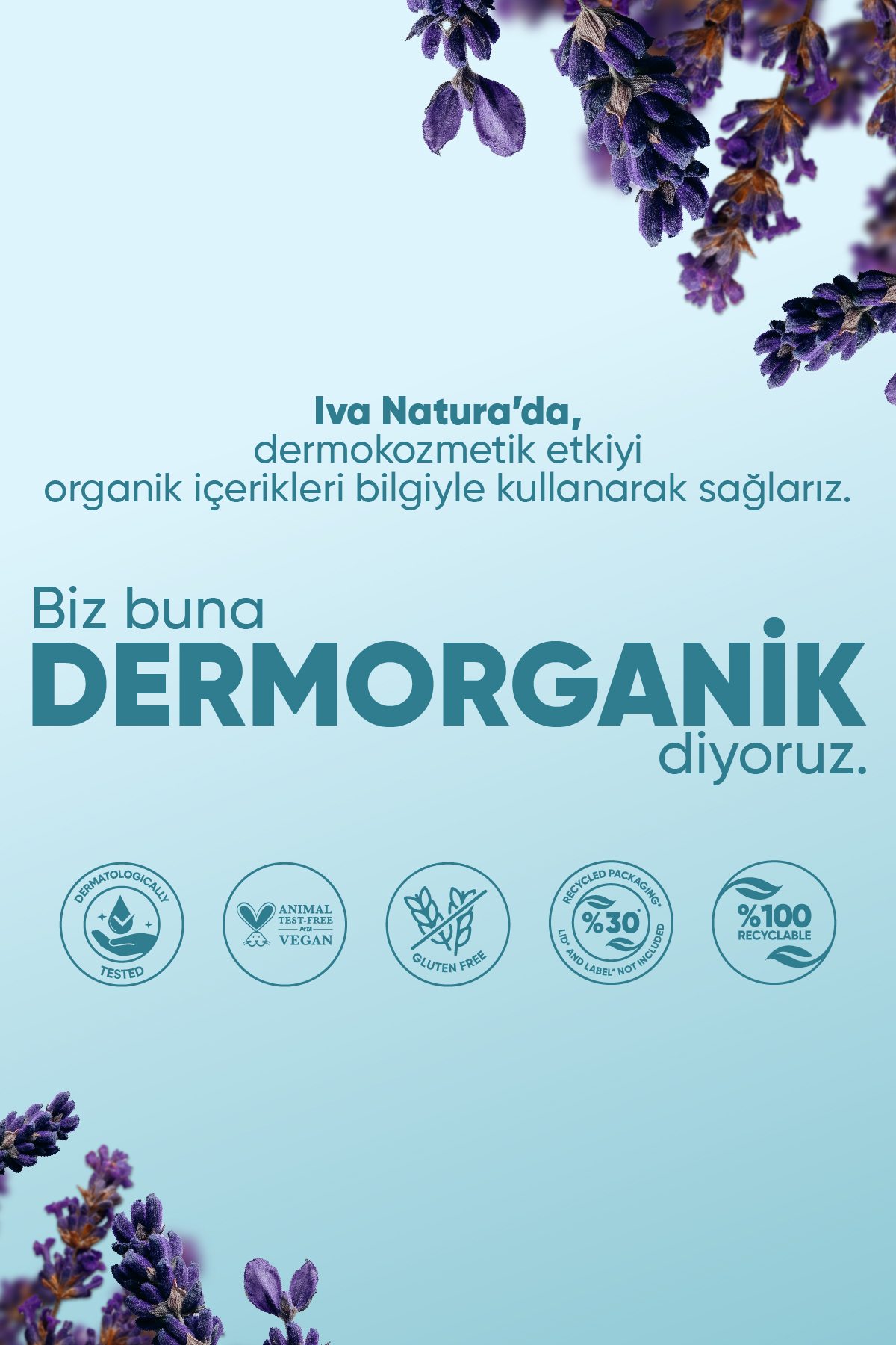 پاک کننده صورت ژل تمیز کردن 350 میل ارگانیک Iva Natura