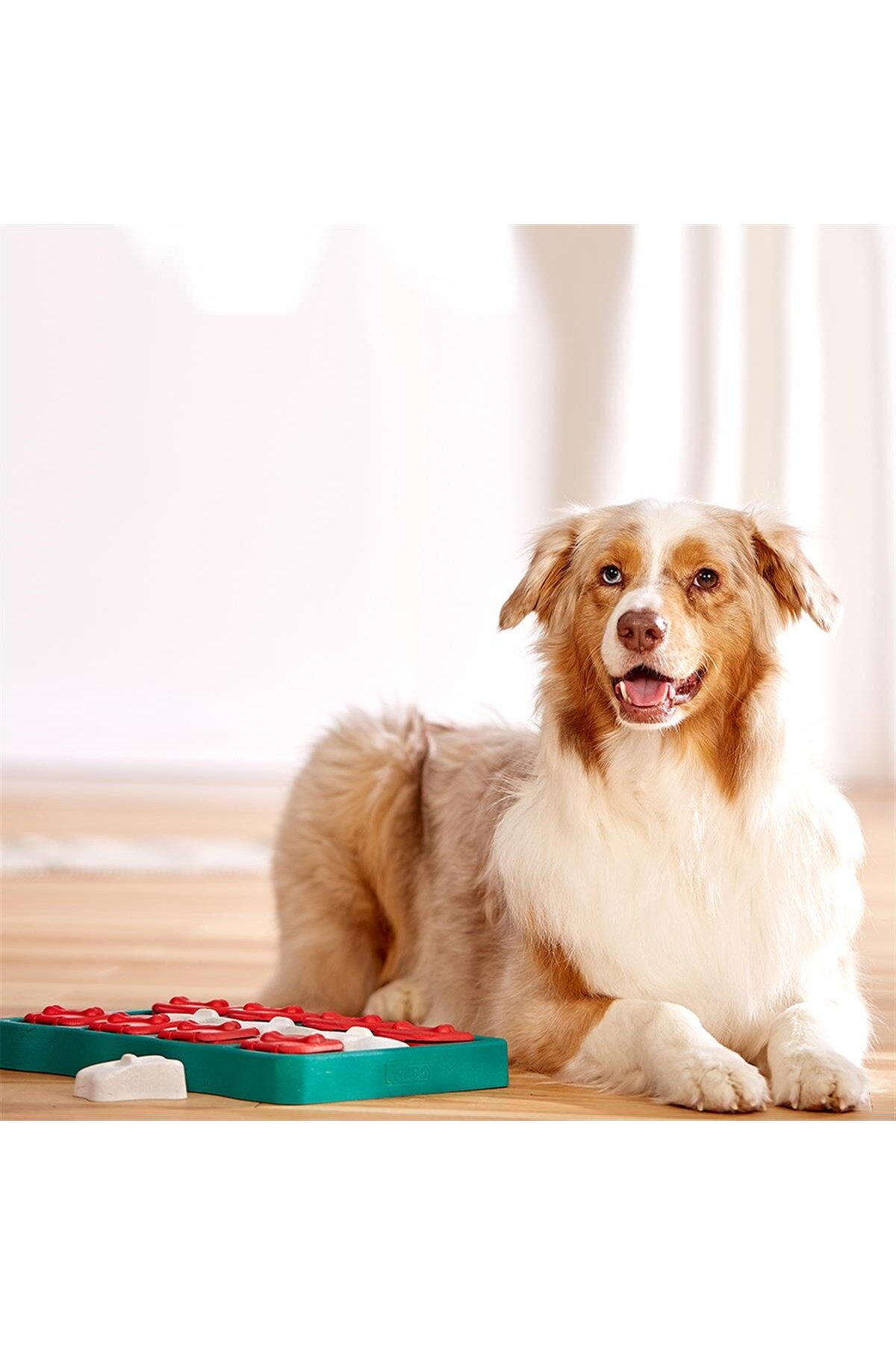 اسباب‌بازی پازلی تشویقی سگ اوت‌وارد هاوند Outward Hound X Nina Ottosson Dog Smart آبی