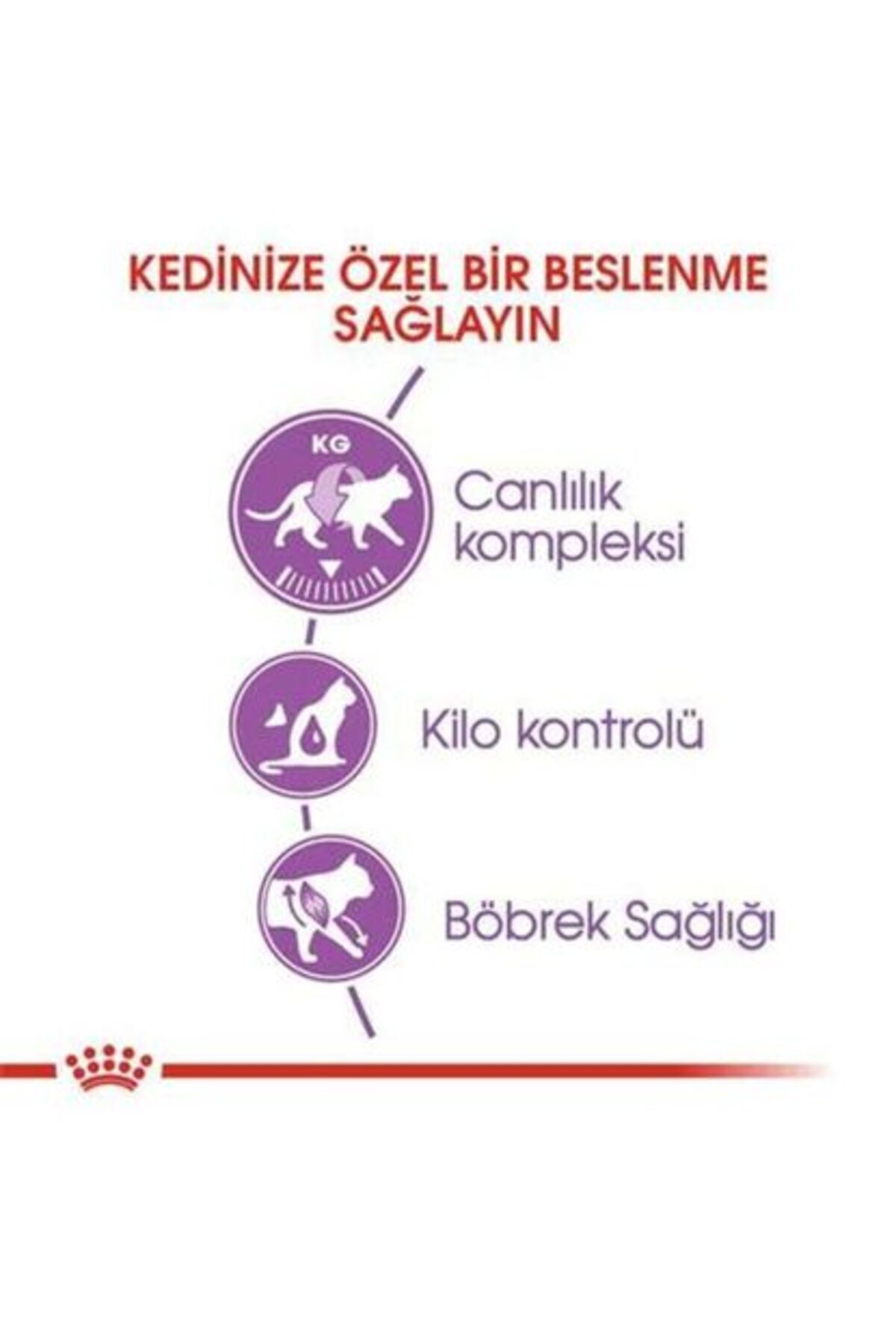 غذای خشک گربه رویال کنین Royal Canin مدل FHN Sterilised 37، ۴ کیلوگرم