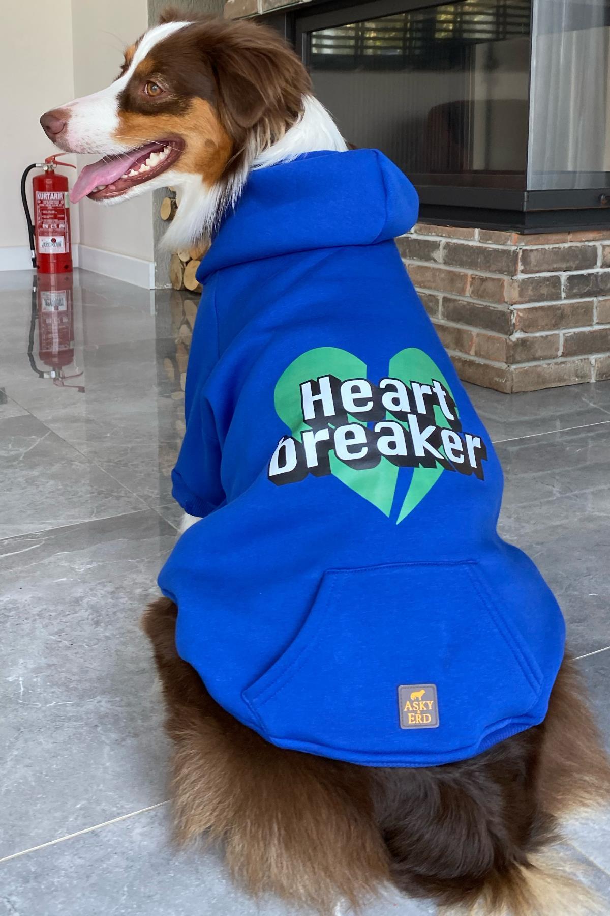 سویشرت سگ آسکی‌اند‌اِرد Asky&Erd، Heart Breaker، آبی