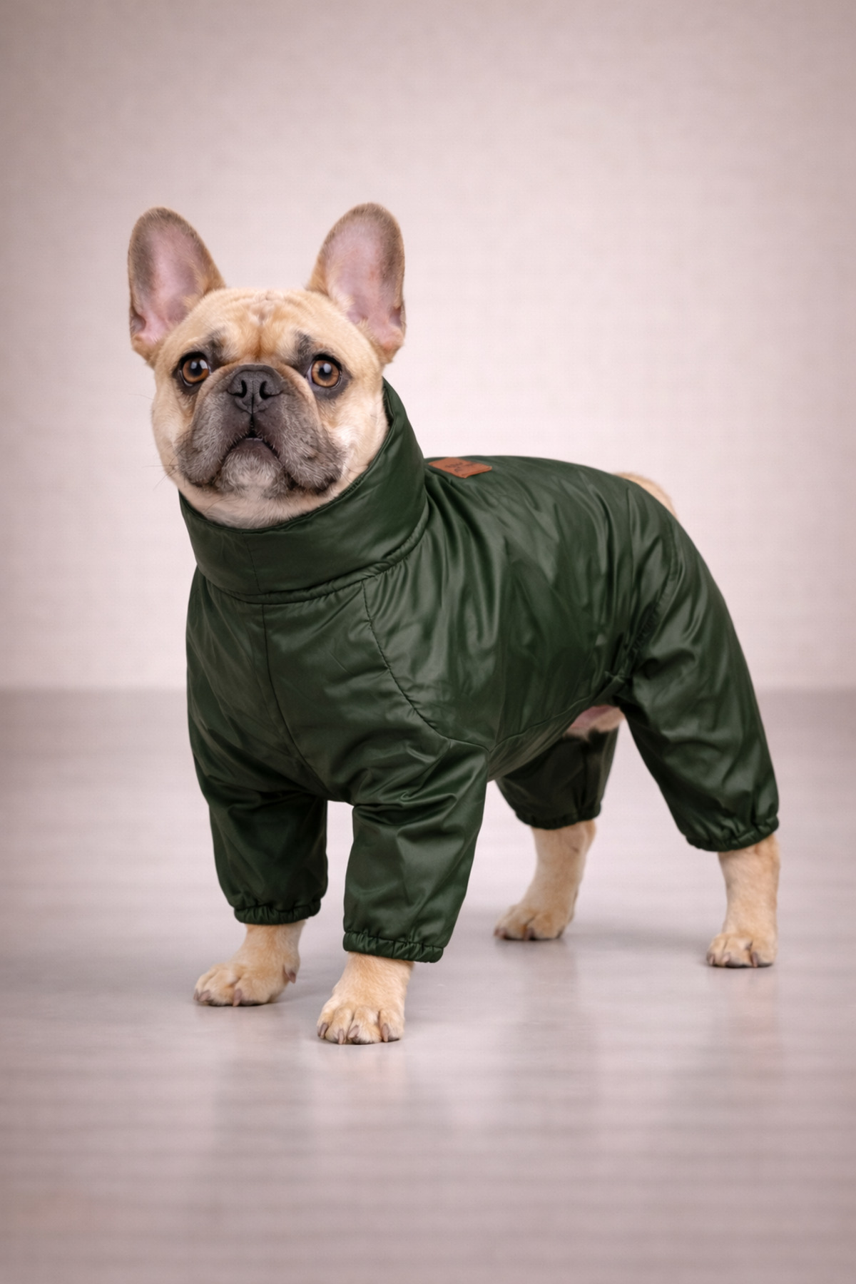 بارانی چهارپای سگ آلفاداگ دیزاین آلفادگ دیزاین Alphadog Design، مدل Coverall Leather سبز